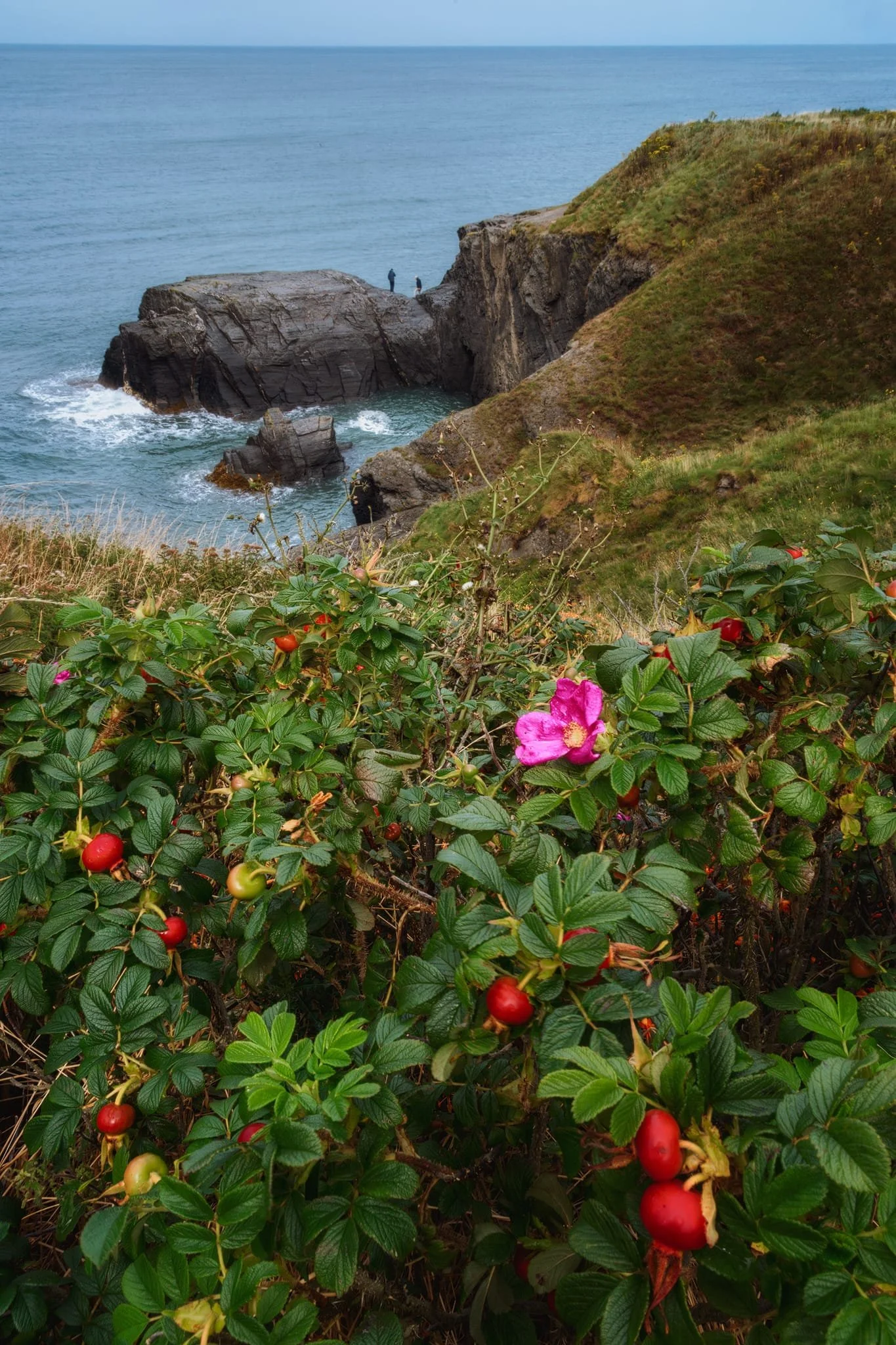 Further along the trail a rosehip bush catches my attention, along with some fishermen who’d managed to clamber down the cliffs onto the crag. I lined up this composition featuring the two subjects.