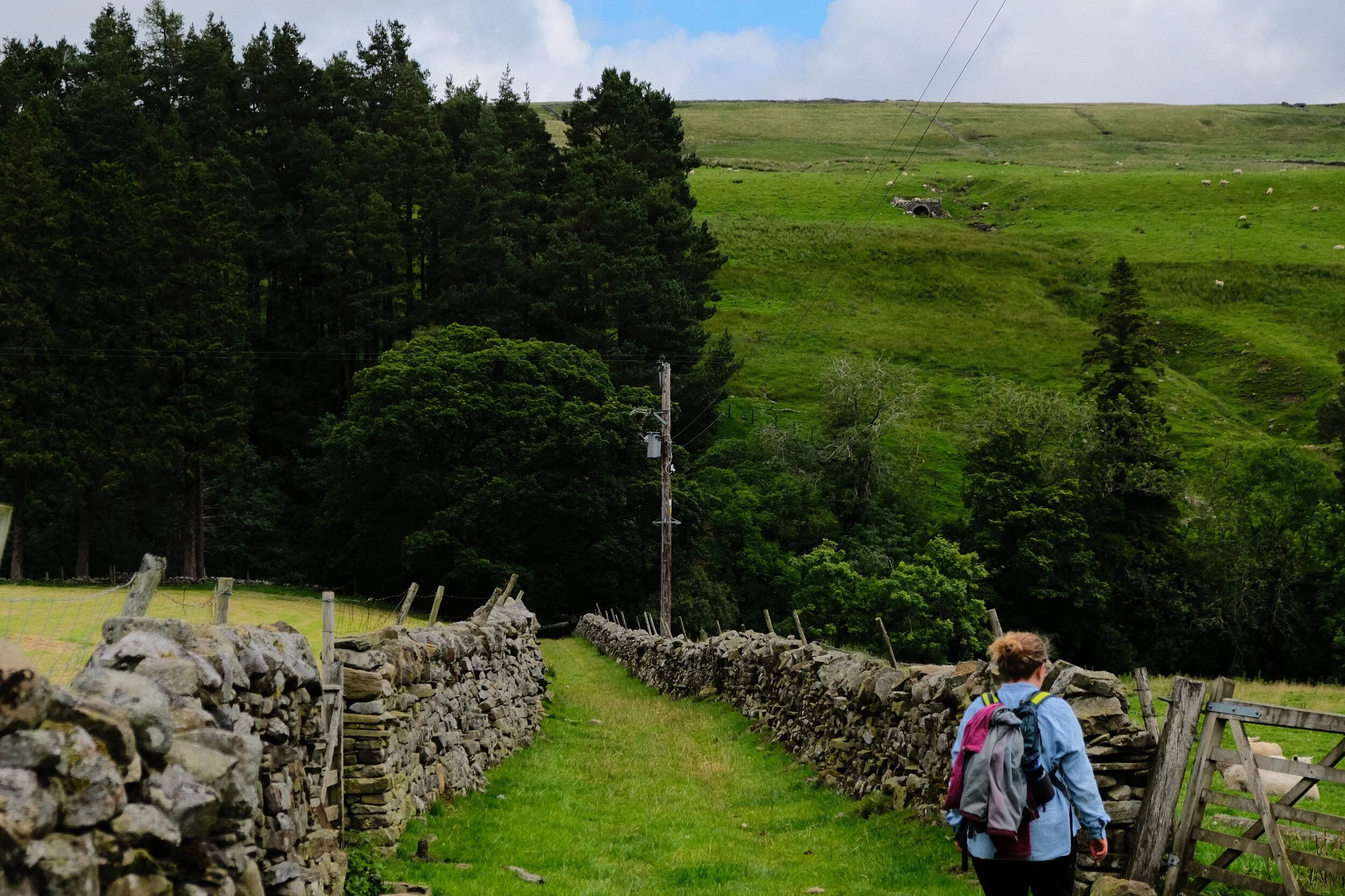 Heading down to the South Tyne Trail, which we’ll follow alongside all the way to Ashgill Force.