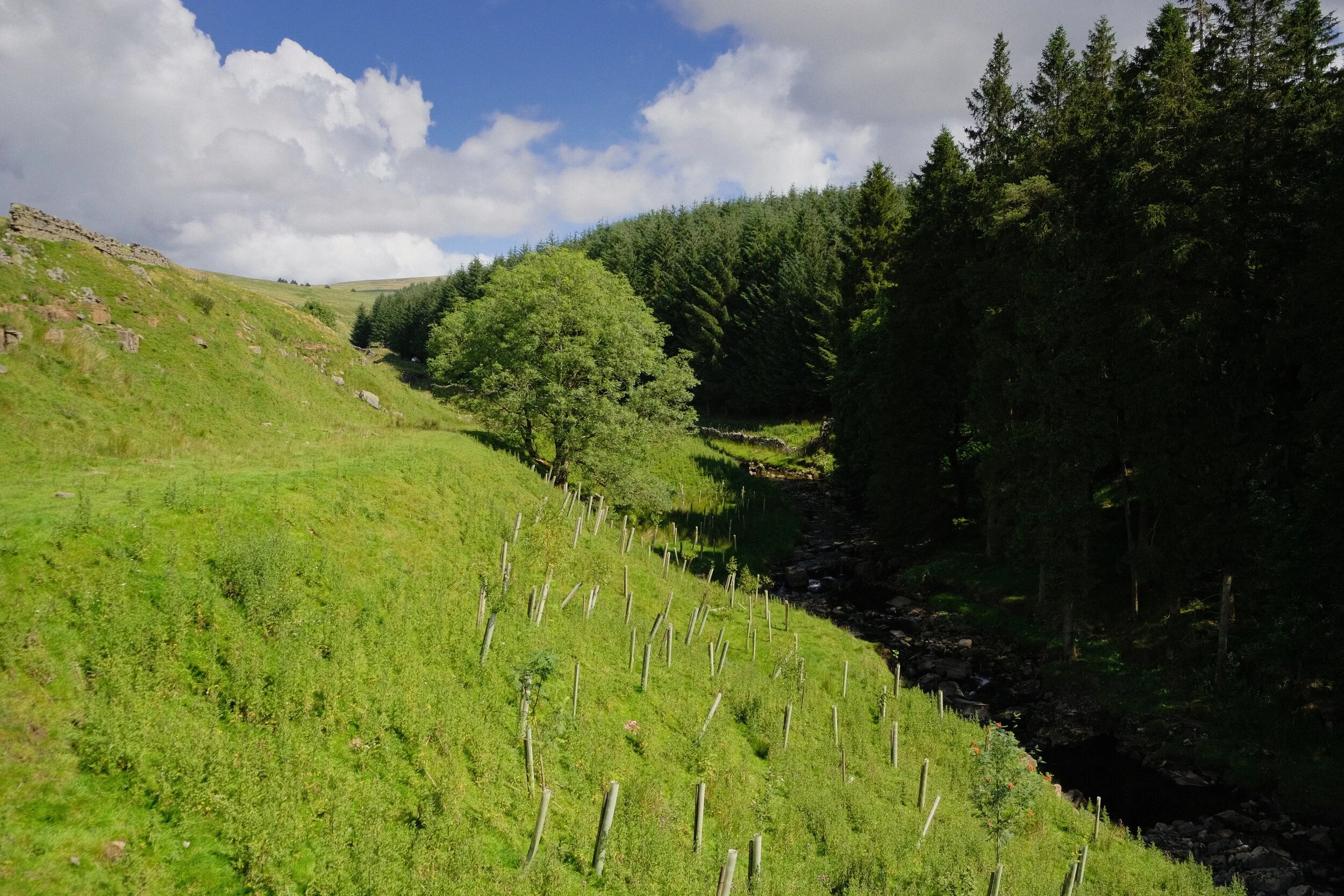 Above and beyond the waterfall, Ash Gill is calm and serene.