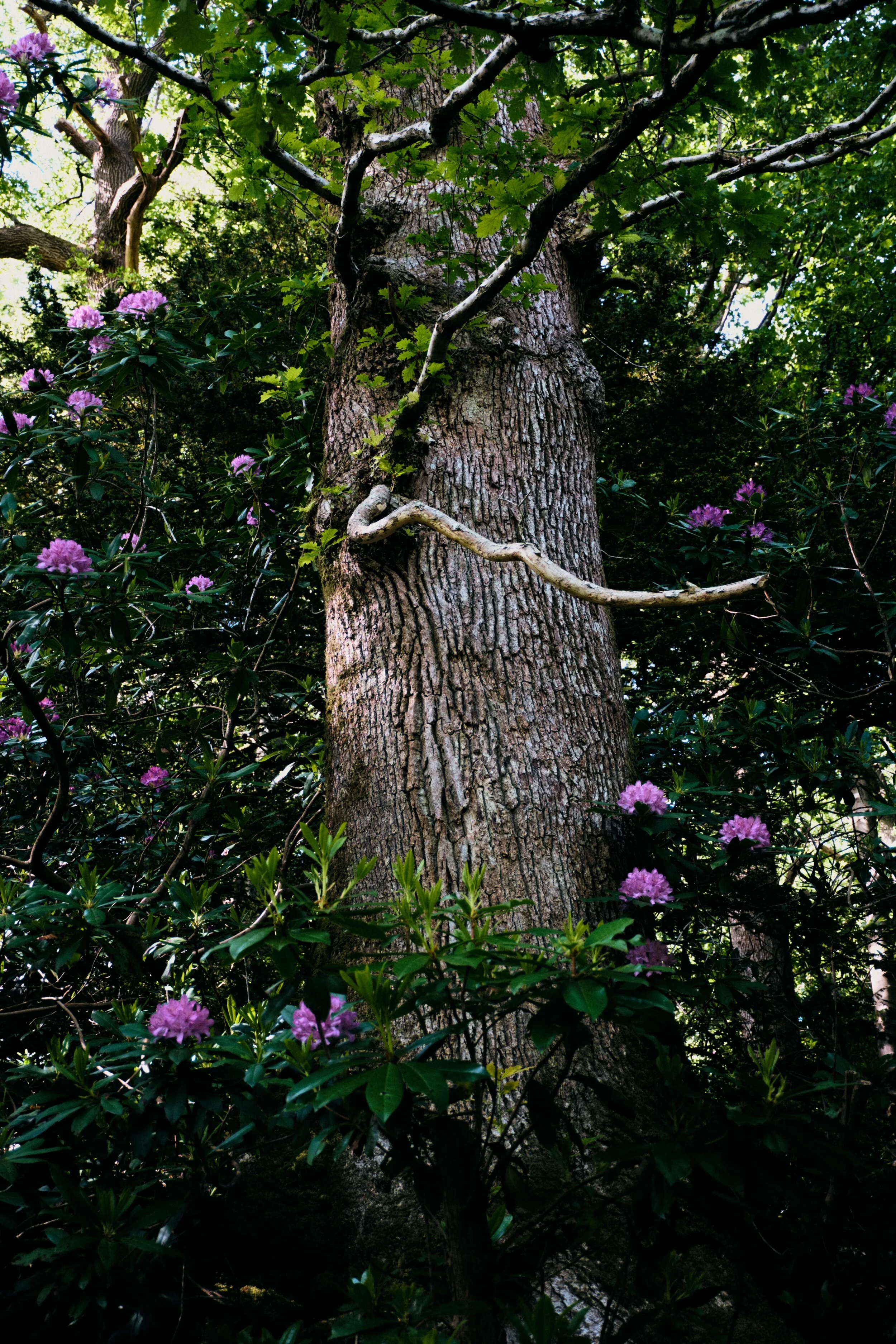 Dscf1383_Export