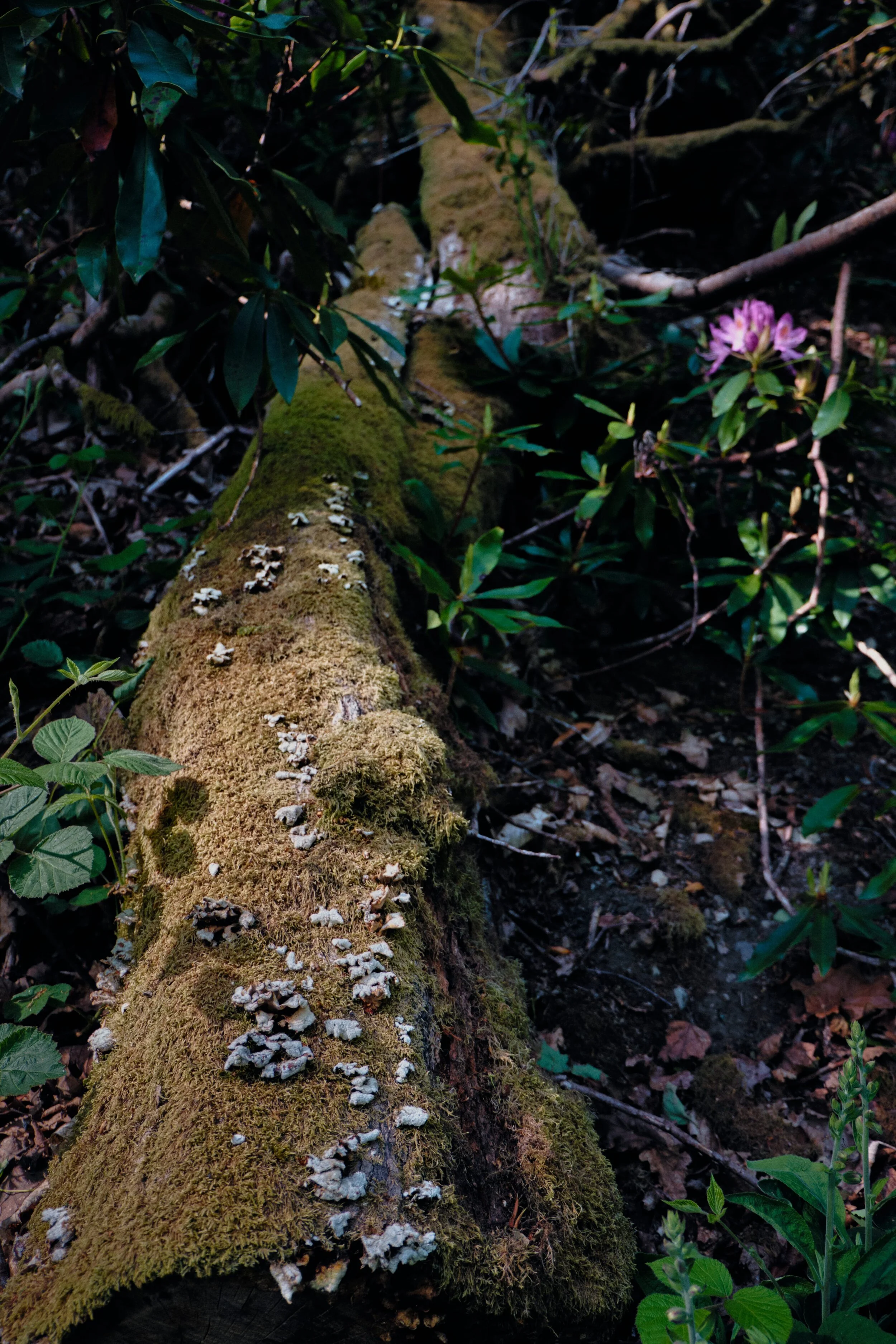 Dscf1384_Export