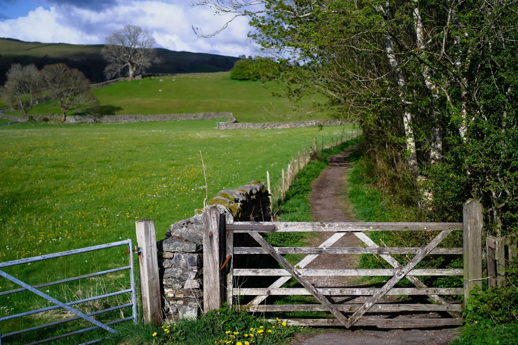 The start of the trail, and a crackin’ evening to look forward.