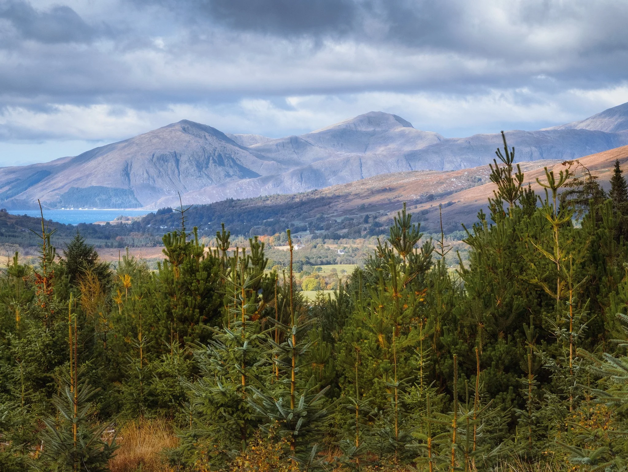Another corker of a view towards the Kingairloch mountains, with Loch Linnhe just coming into view.