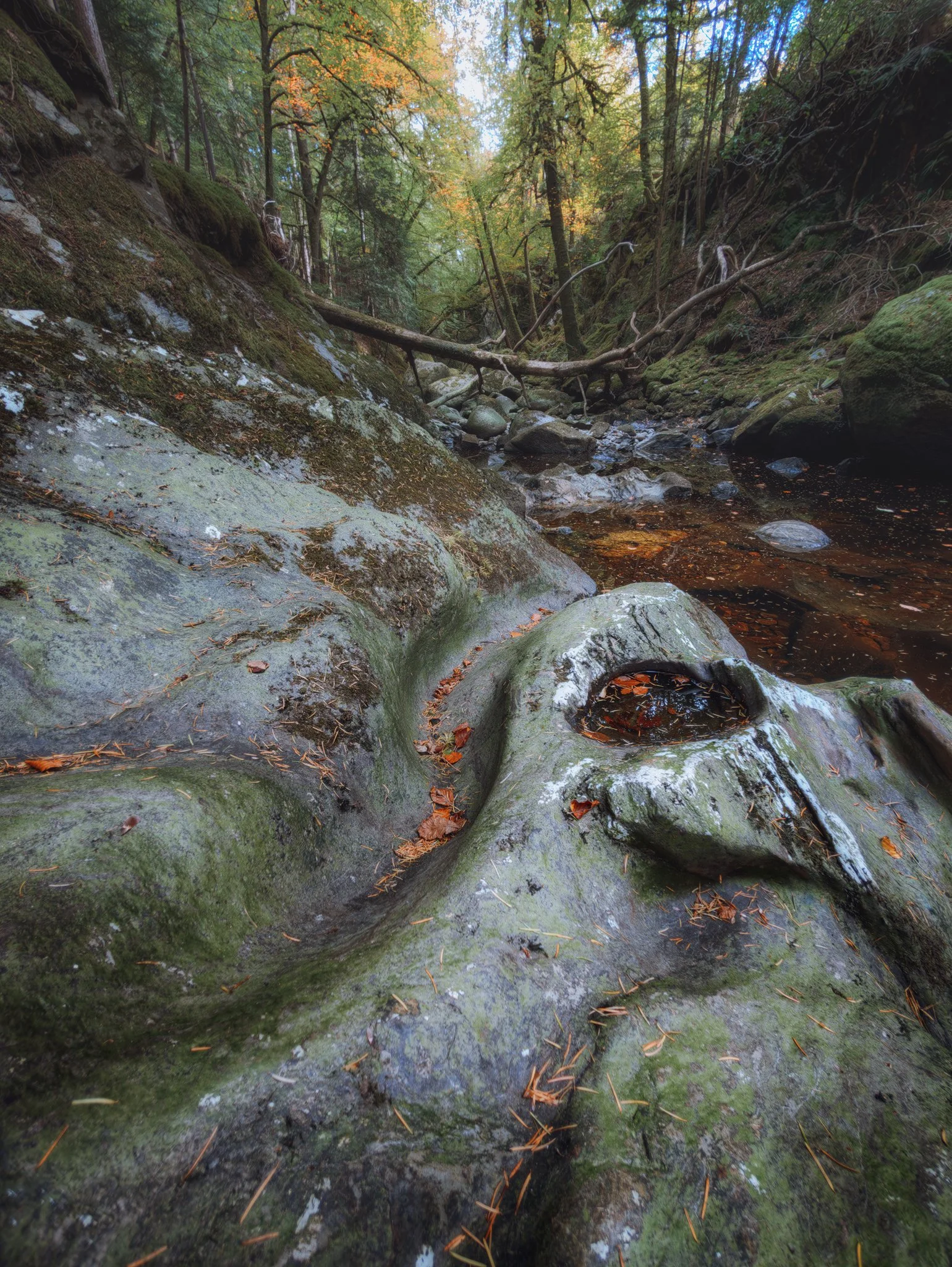 Near the end of the trail, the gorge empties out into a little forest river, but I clambered down to shot this beautiful formation as a leading line back up the gorge.