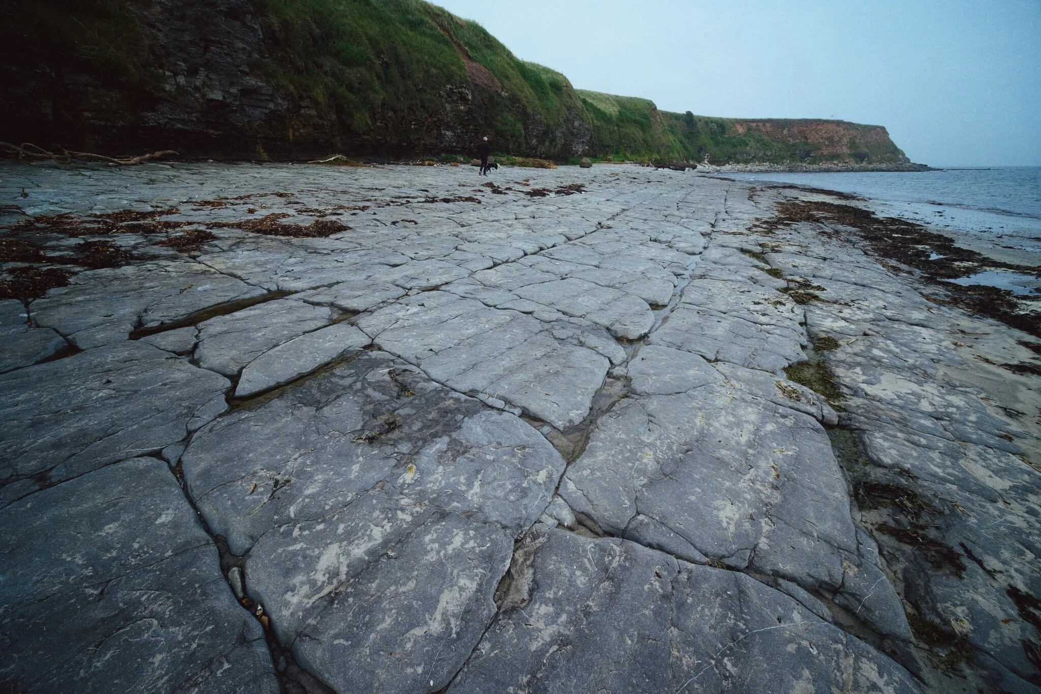 I’m always fascinated by how geometric geology like this comes to be formed.