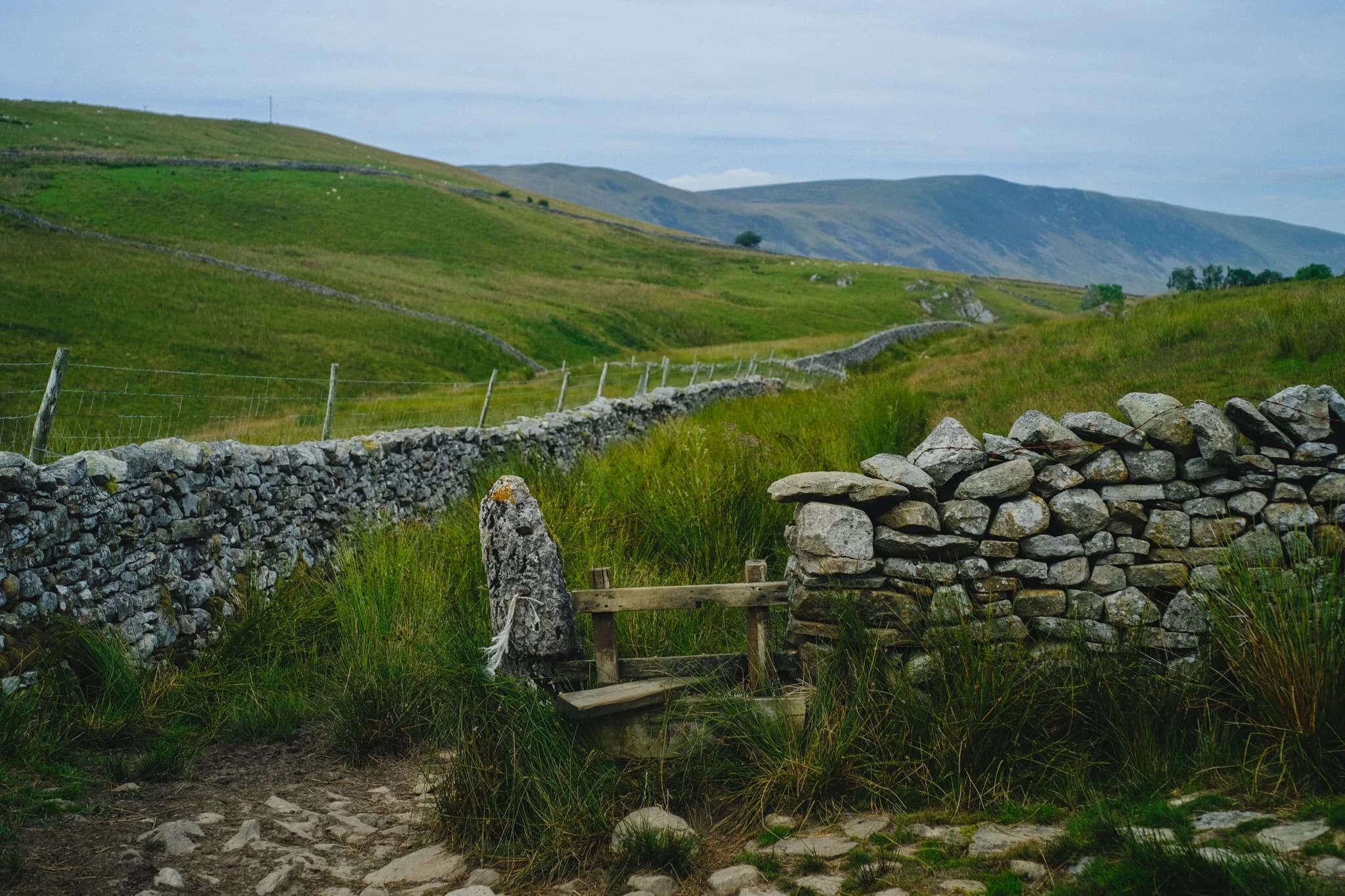 Just follow the wall all the way back to Bullpot Farm. I suspect in wetter months the path between Bullpot Farm and Ease Gill Kirk would be consistently boggy.