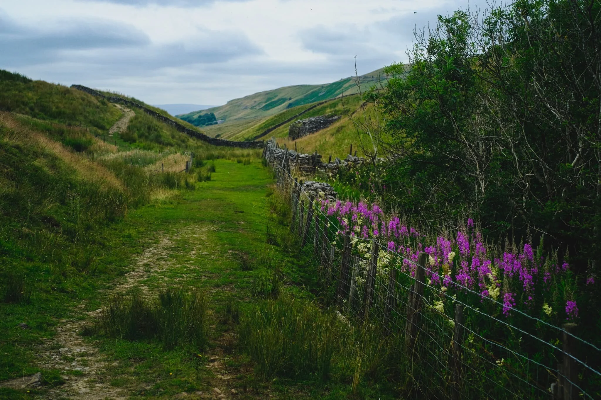 The way to Ease Gill Kirk, after passing Bullpot Farm. The old farmhouse now serves as the base for the Red Rose Cave & Pothole Club.