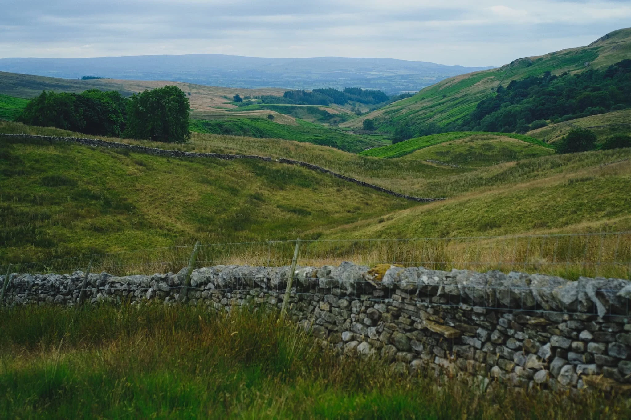 Layers and layers.