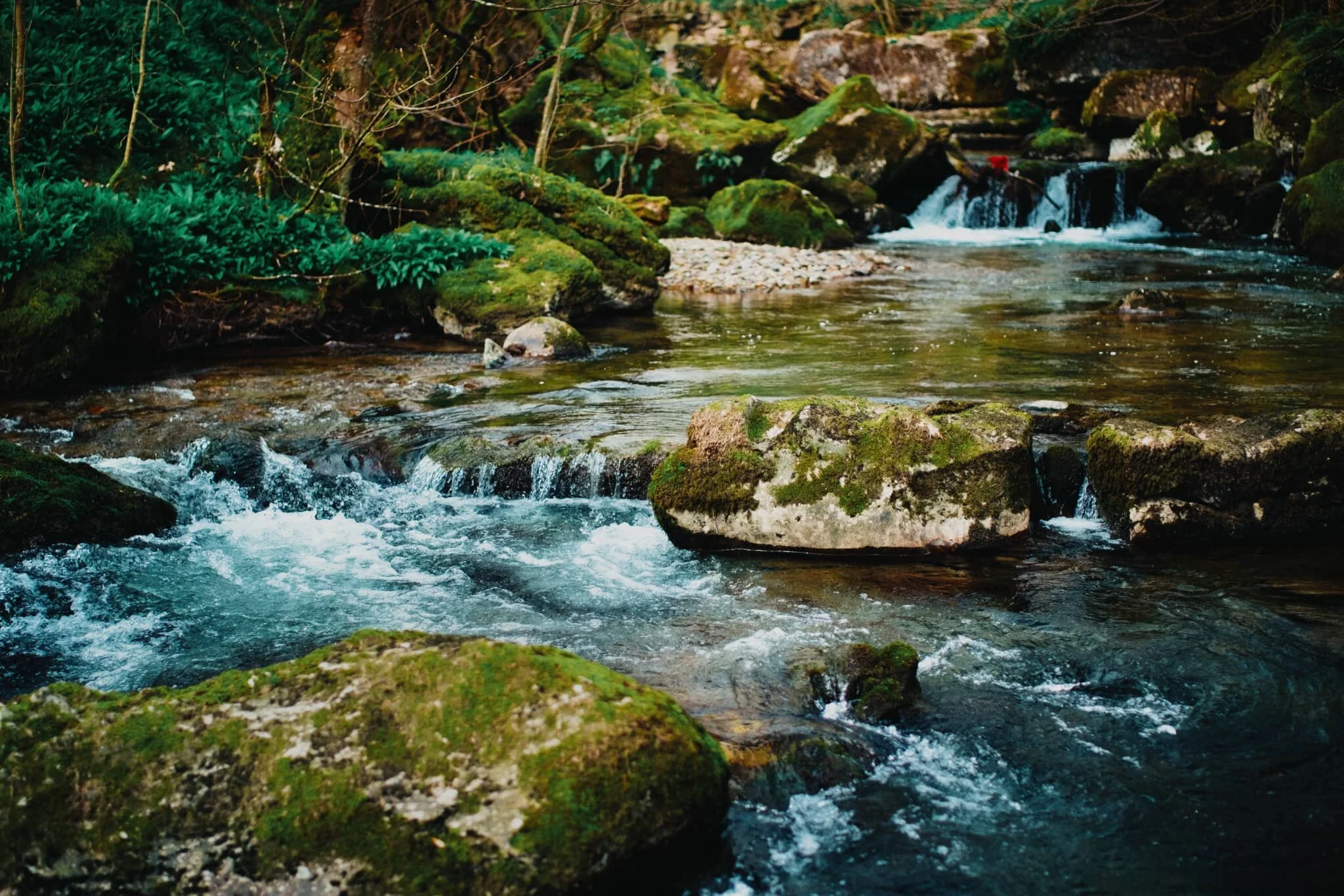One of the main reasons why I bought a polariser: I love how it cuts the glare from water and vegetation. It really deepens the colours in a scene.