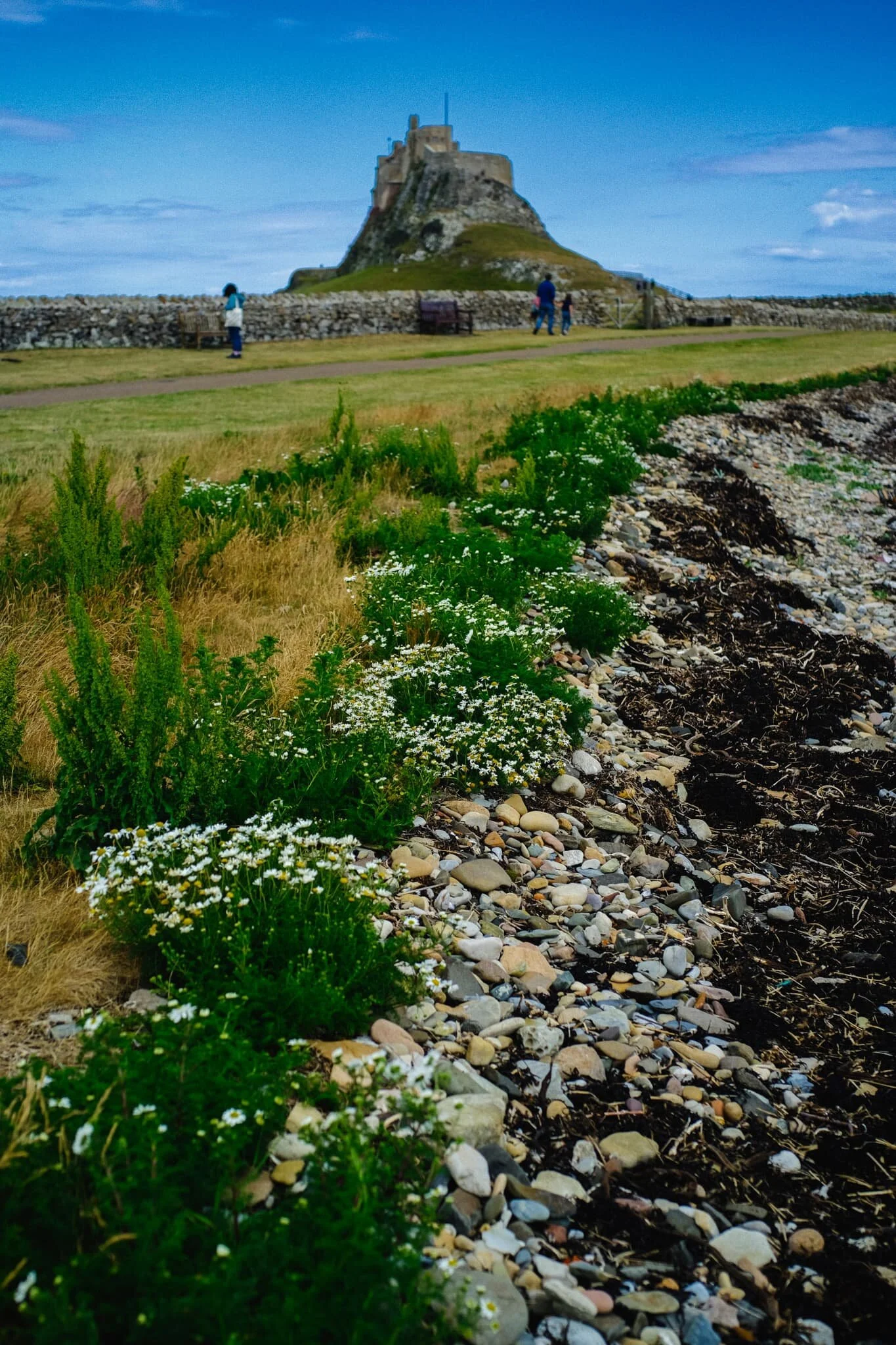 As the tide was out, Lisabet and I quickly made our way to the bay west of Lindisfarne Castle known as The Ouse.