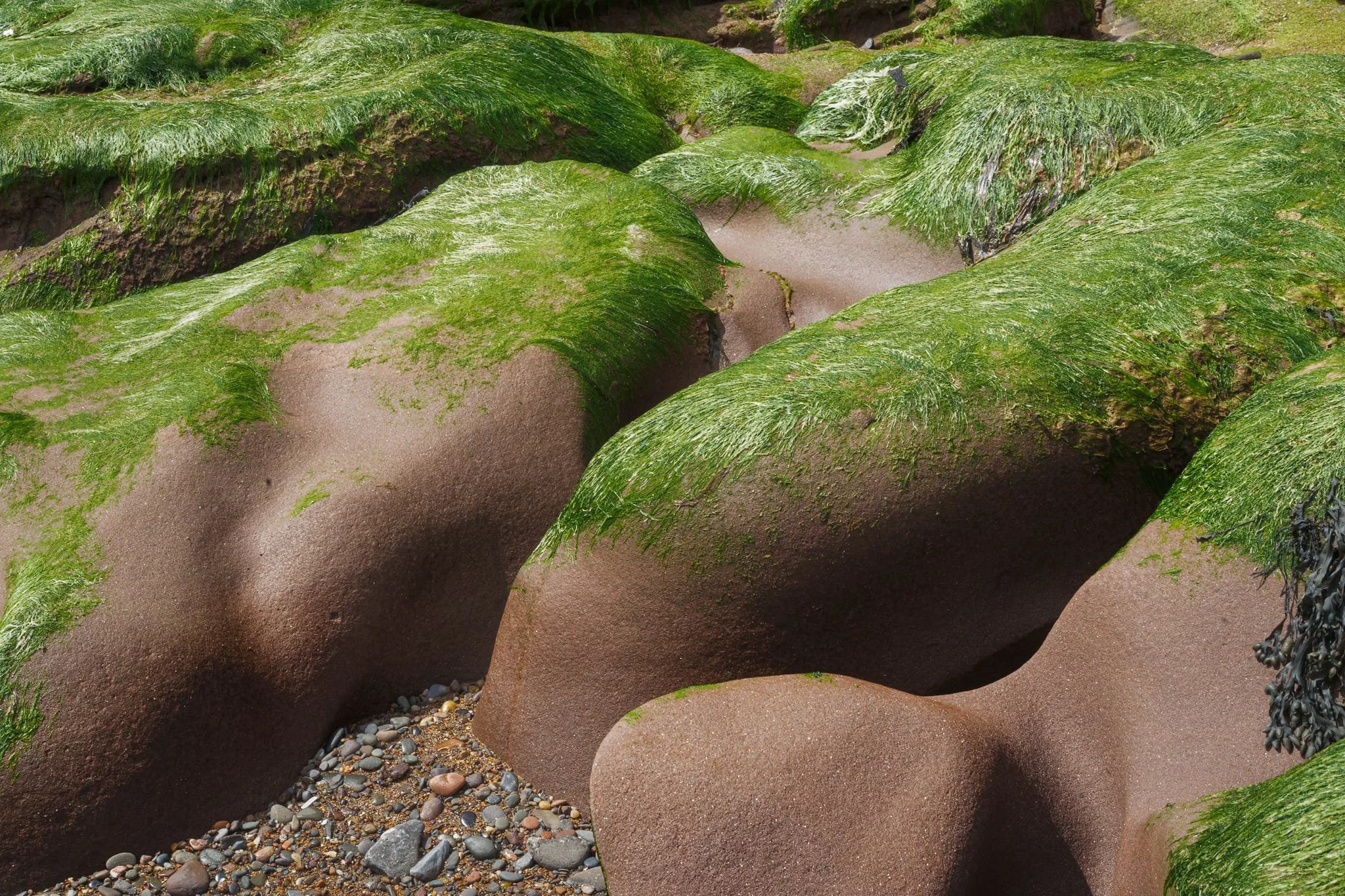 Another beautiful example of the sandstone having been sculptured so smoothly by nature over the course of millions of years.
