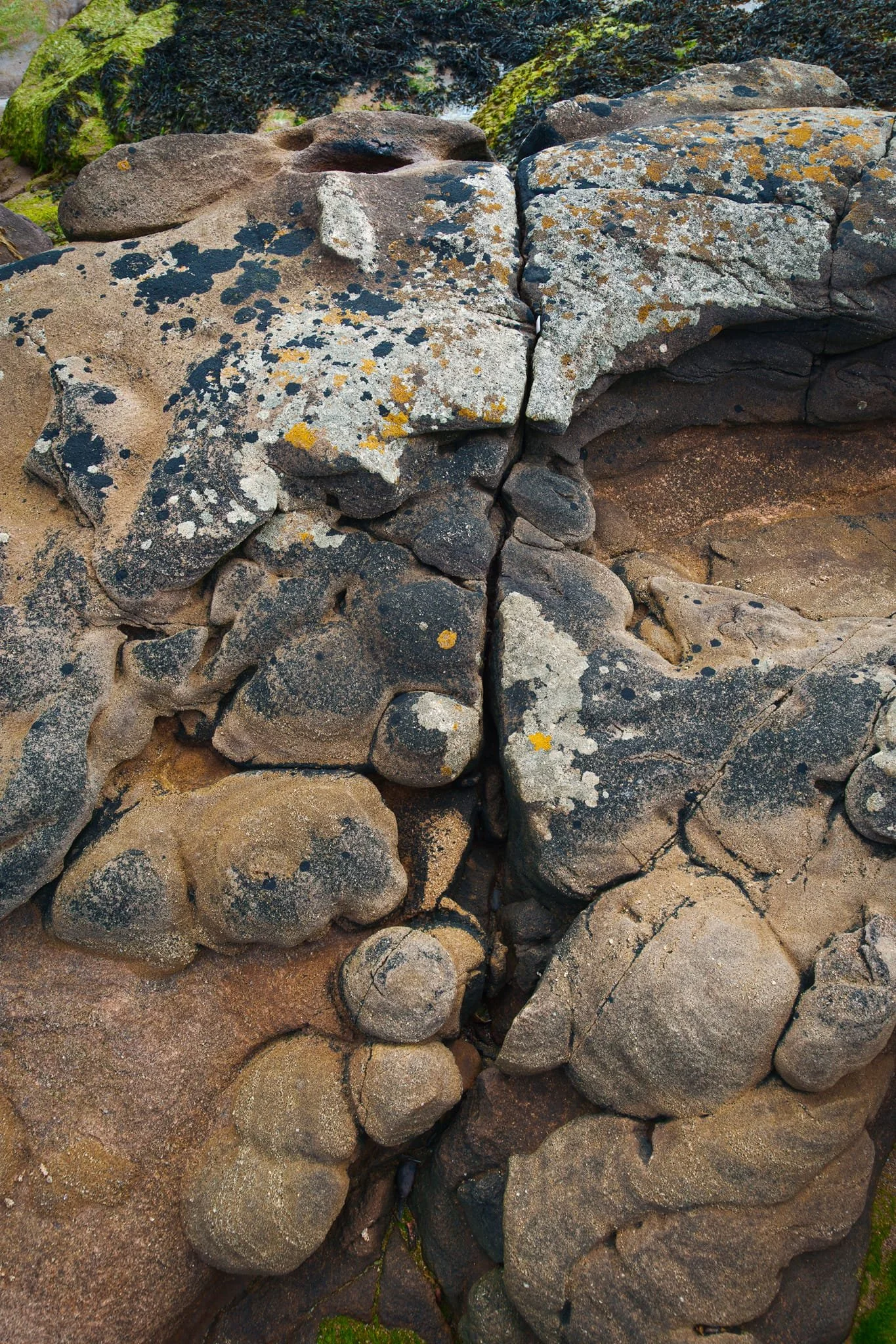 Another unusual feature you’ll find at Cheswick Sands are these “bubbles” or pillows of rock, called concretions . Geologists aren’t sure how concretions form, but it’s thought that mineral-rich water was in excess in the wet sediments and the mineral was able to precipitate within the rock under particular chemical conditions.
