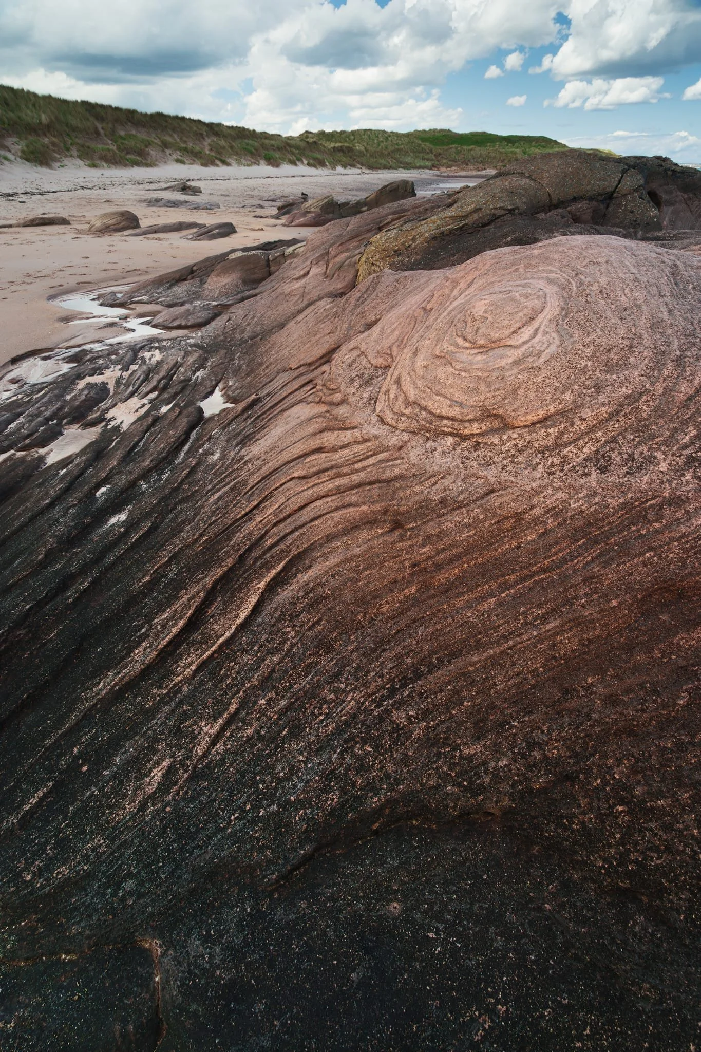 Cross-stratification in sandstones. Each curved layer represents an ancient dune or ripple that migrated across a river channel or shallow sea floor.