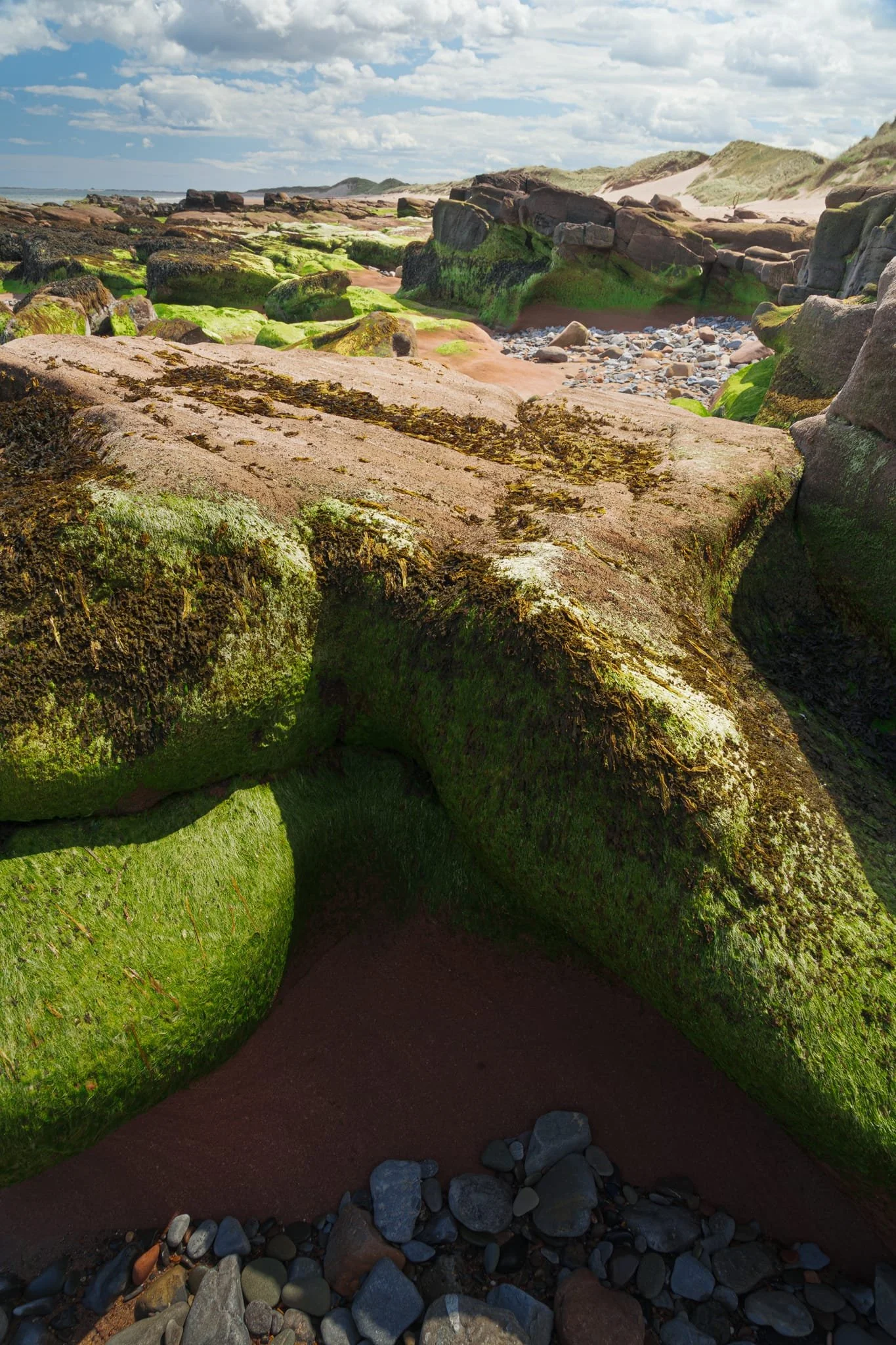 Some of these formations were raised high above the sand, allowing the sea to carve channels beneath their pedestals.