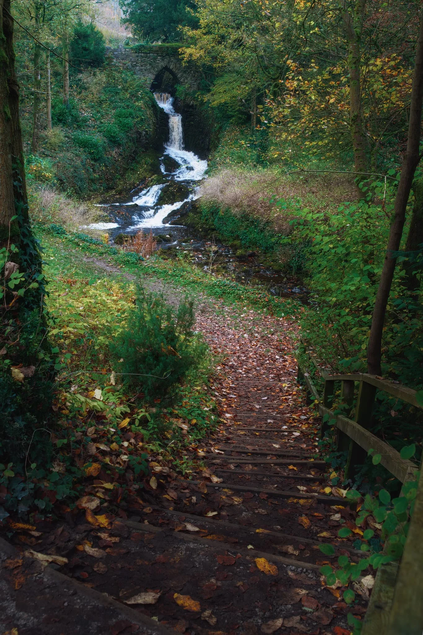 This beautiful waterfall, like a lot of features in Clapham, is man-made. The Farrer family, especially Reginald Farrer, have from their home in Ingleborough Hall developed Clapham village for over a century.