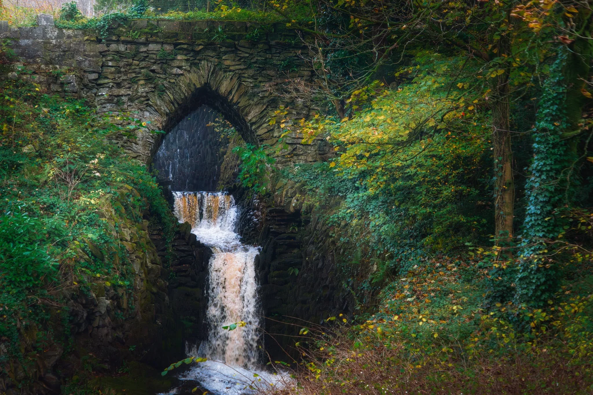 The waterfall serves as an outflow from Clapham Lake. I zoomed in super tight to focus largely on the upper waterfall and the beautiful stone bridge that frames it.