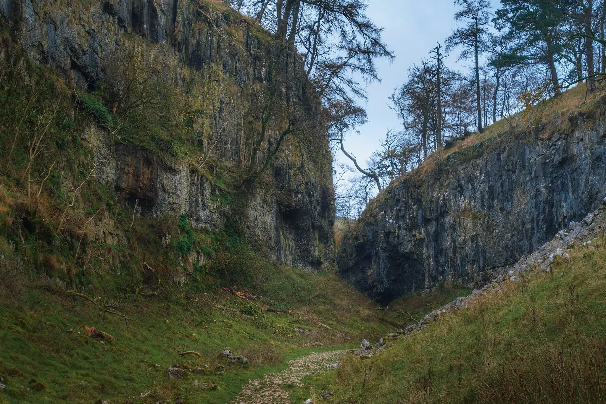 The gorge of Trow Gill. The waters from the slopes of Ingleborough, what we call Fell Beck, once carved out this deep gorge with its sheer walls. Eventually, the water stopped flowing through here as Fell Beck instead broke through Gaping Gill nearer Ingleborough, dropping down as England’s longest unbroken waterfall (that is underground).