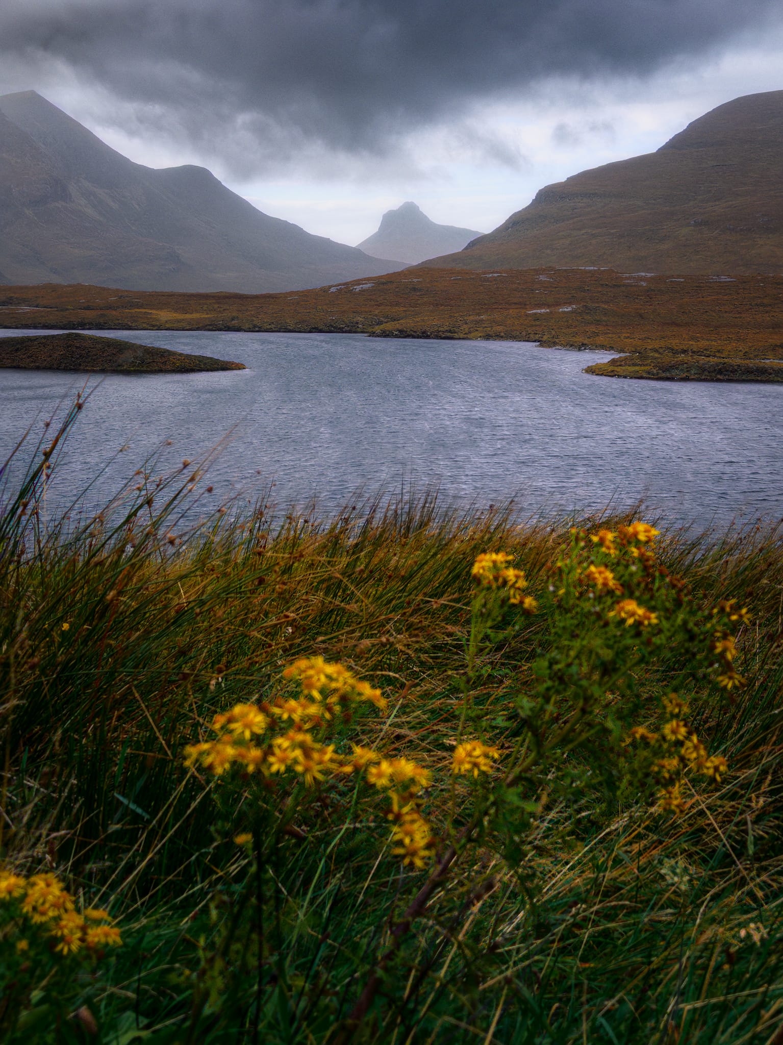 Another composition featuring Stac Pollaidh across the lochan, this time with some Common Ragwort (Jacobaea vulgaris) in the foreground swaying violently in the winds.