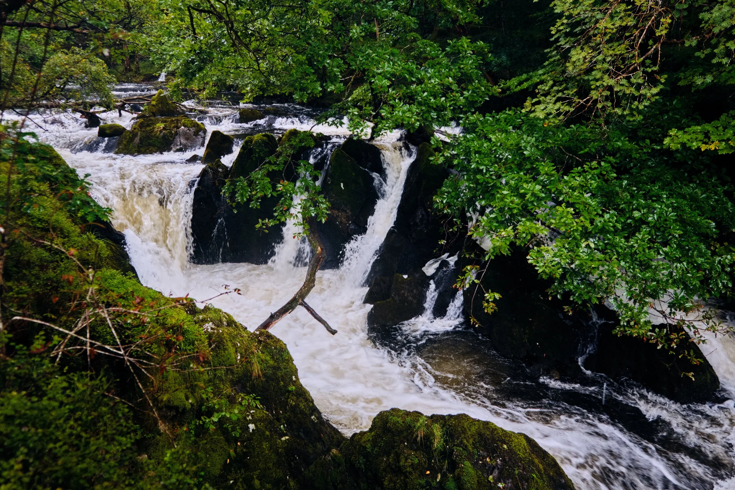 The upper section of Colwith Force. You could feel the sub-bass roaring of the crashing water before you saw it.