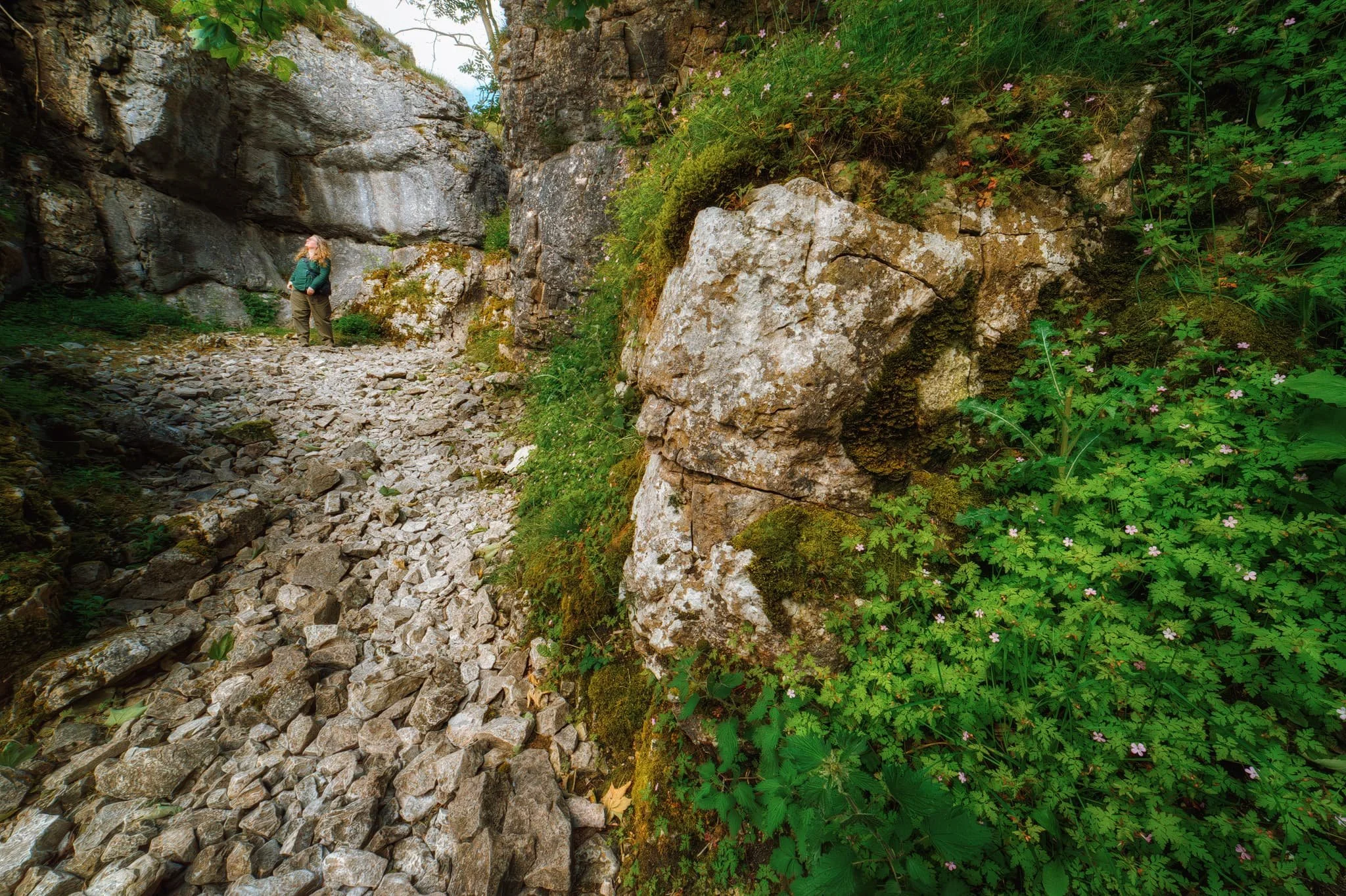 The gorge winds its way uphill, in increasingly tight channels. Now we’re in summer, foliage and wildflowers adorn every possible nook and cranny. Up ahead, Lisabet gawps at the stunning walls of the gorge.