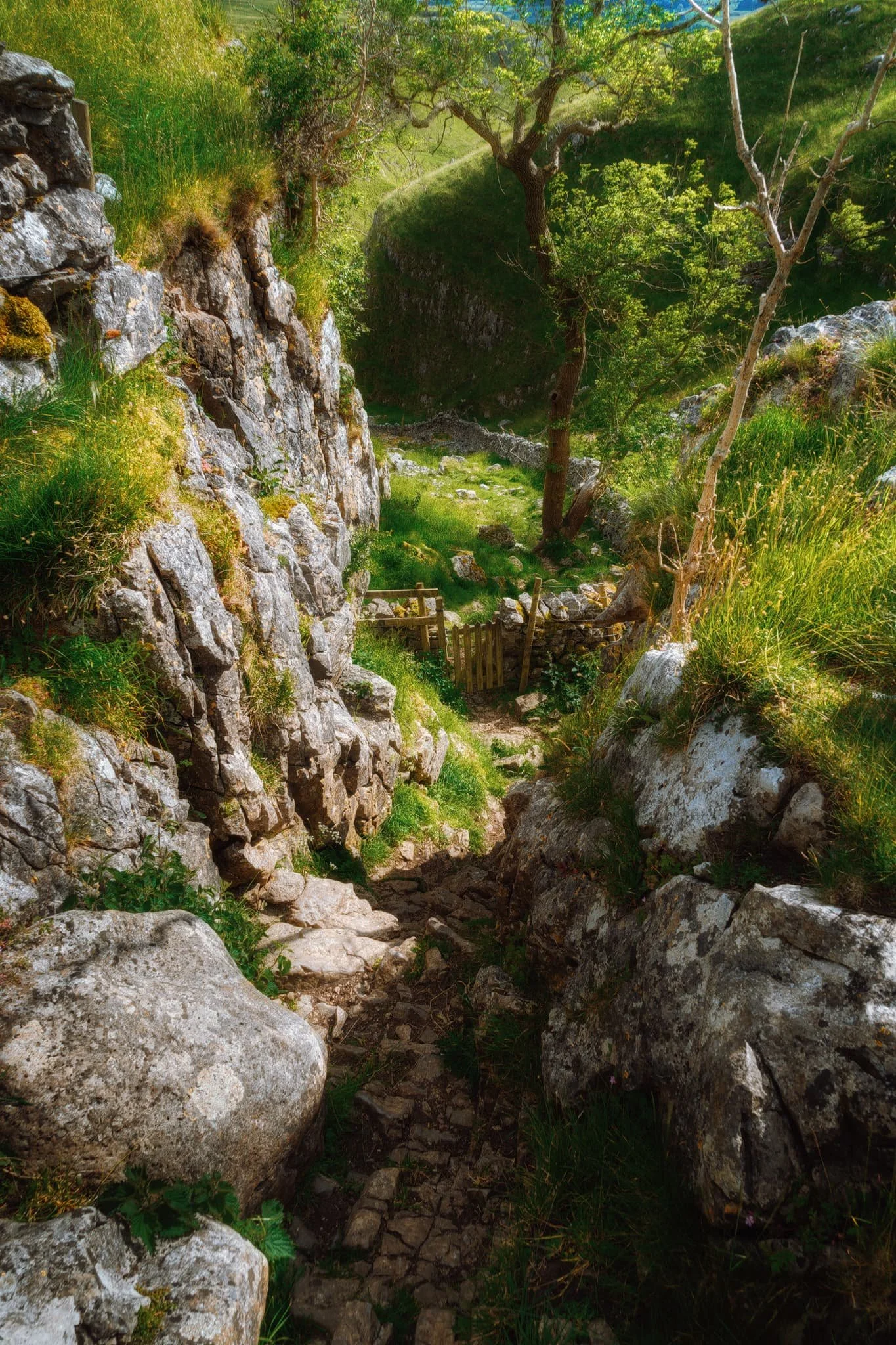 From the top of the Dib, looking perilously down to the gate and the dry gorge below that we scrambled up.