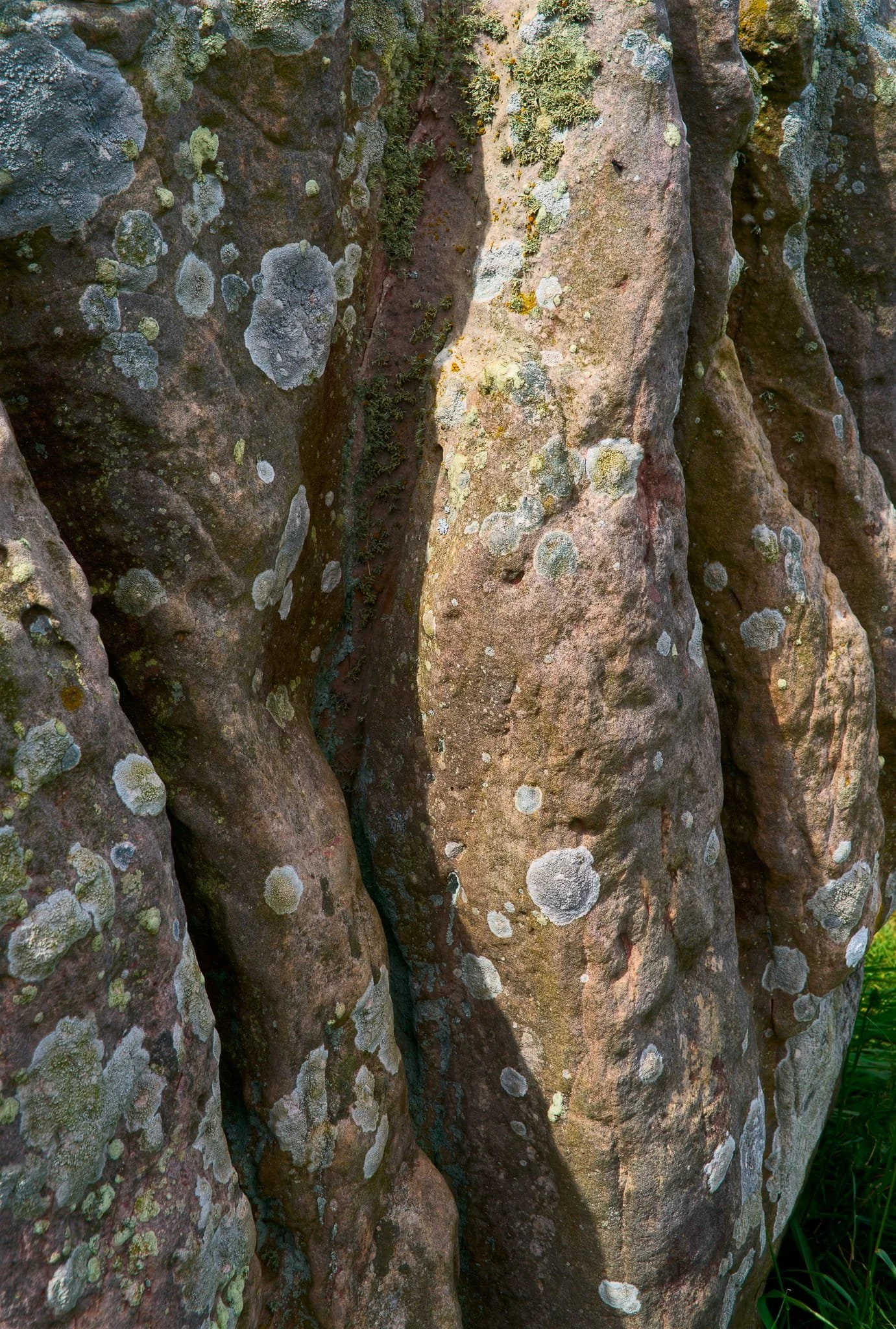 This stone almost puts me in mind of compound muscles, like a leg.