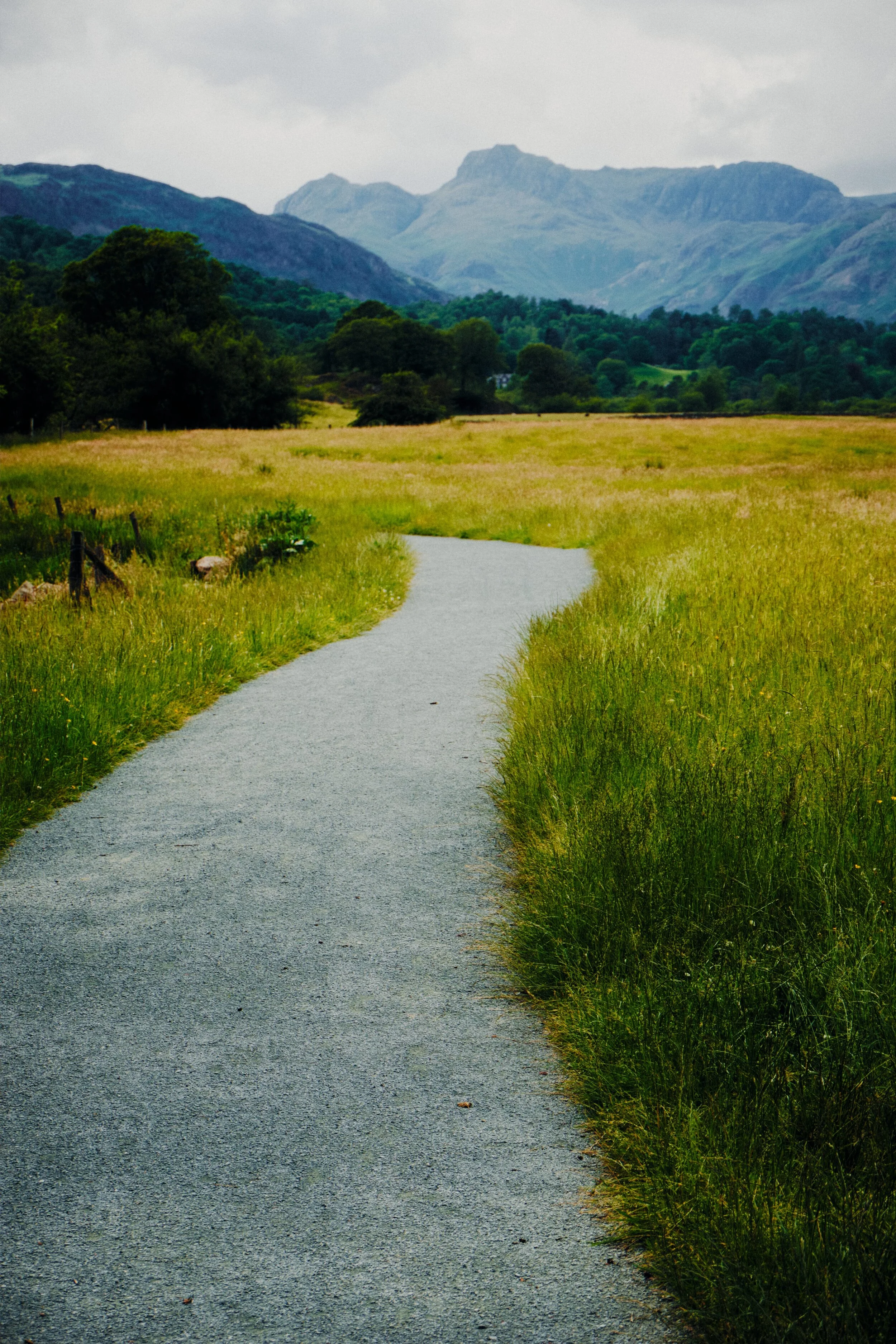 Not pictured: all the horseflies bumping into me.