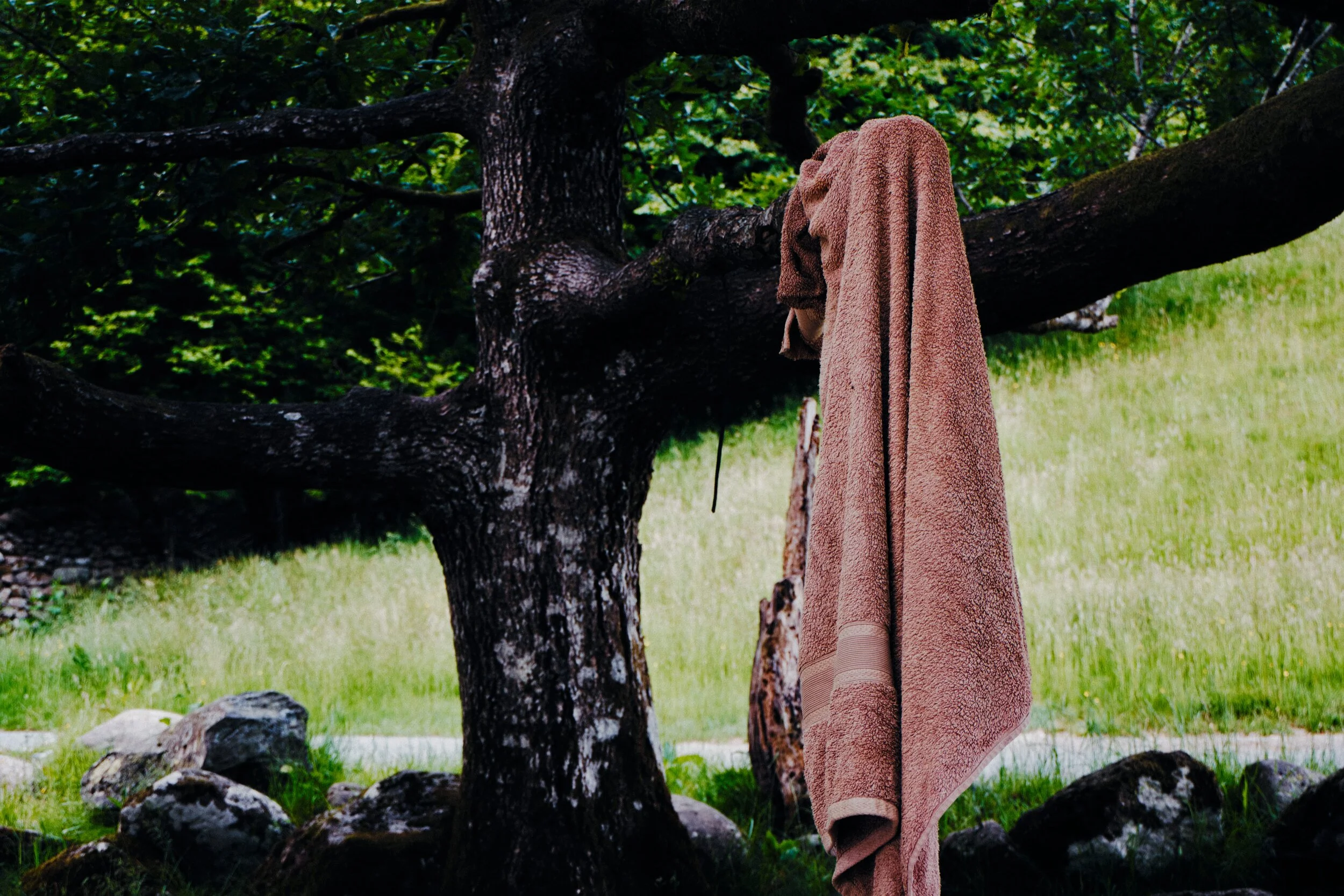 Someone left a towel by the shore of Elter Water. And below it, the charred earth signifying a fire or BBQ. Clean up after yourselves.