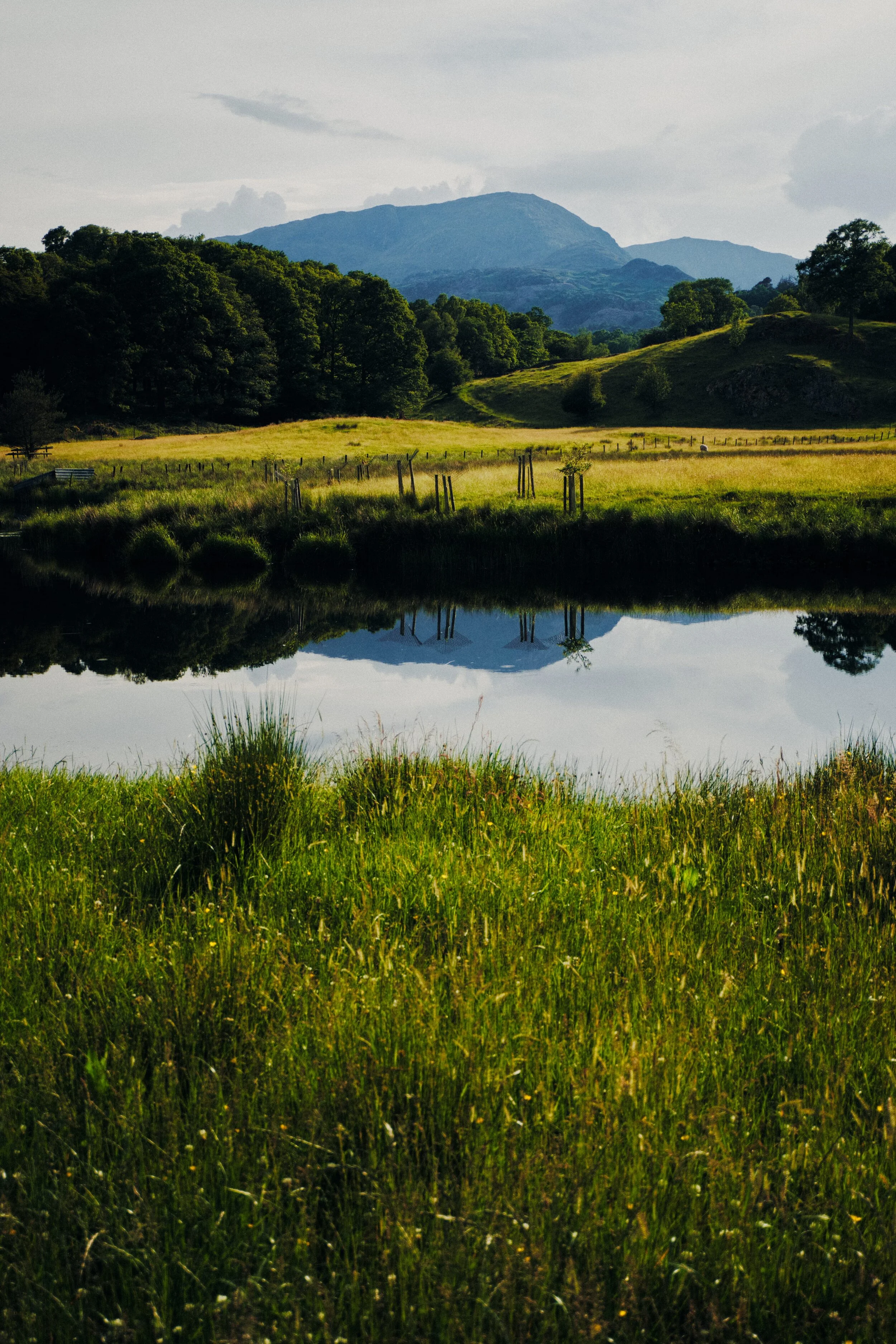 Perfect reflections of Wetherlam (763 m/2502 ft) in the River Brathay.