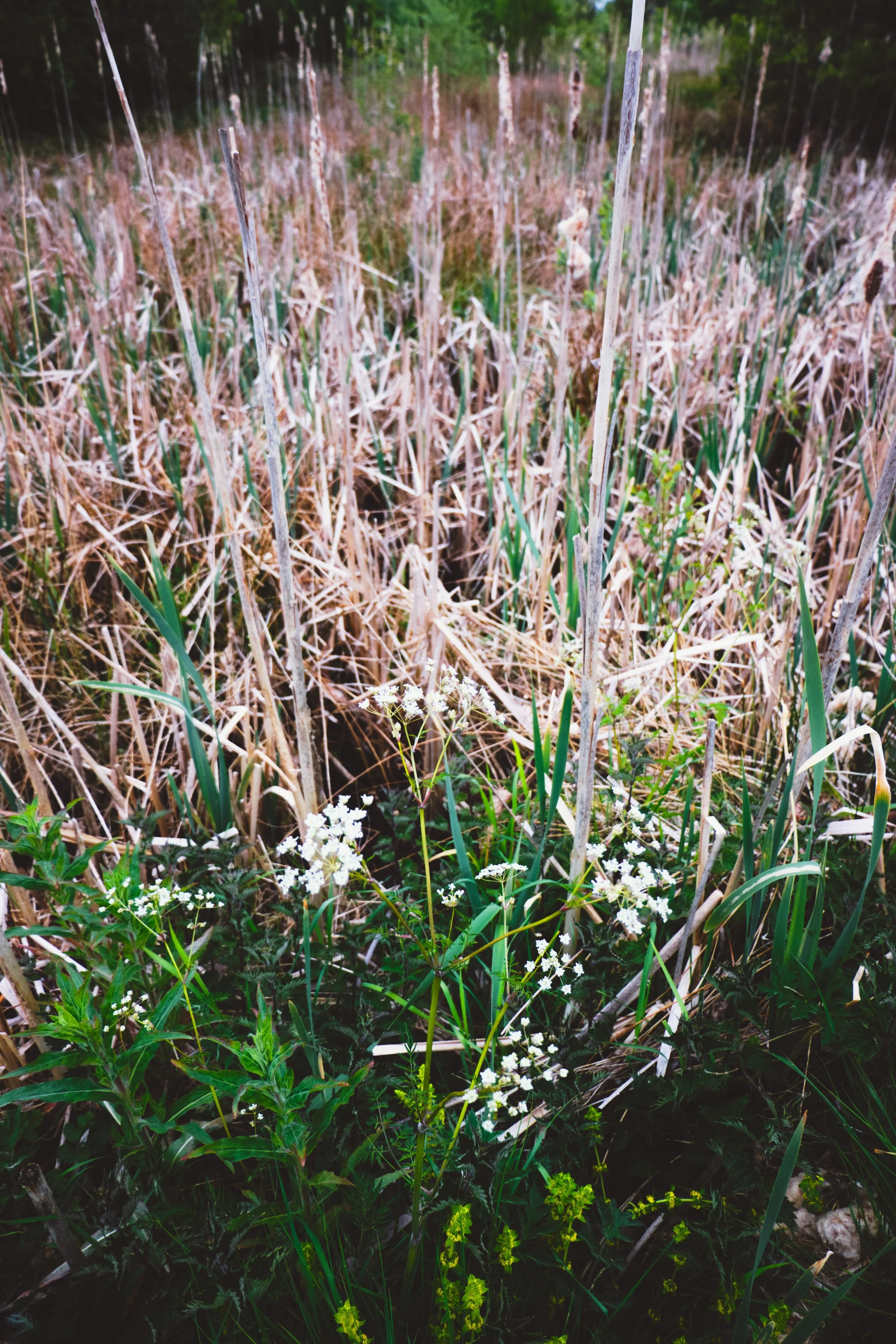 Dscf1280_Export