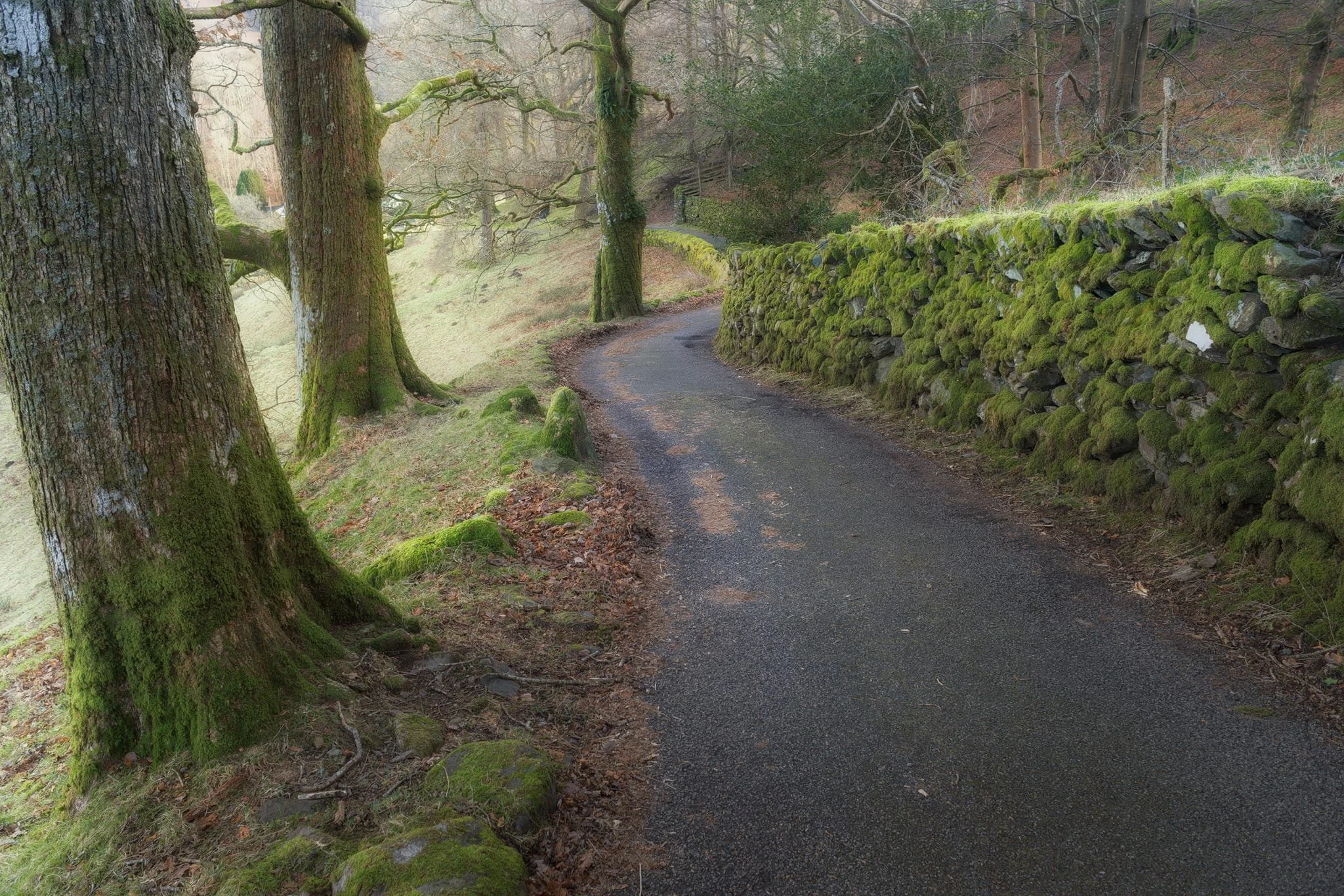 A timeless route back to the village centre. There’s no need to hurry.
