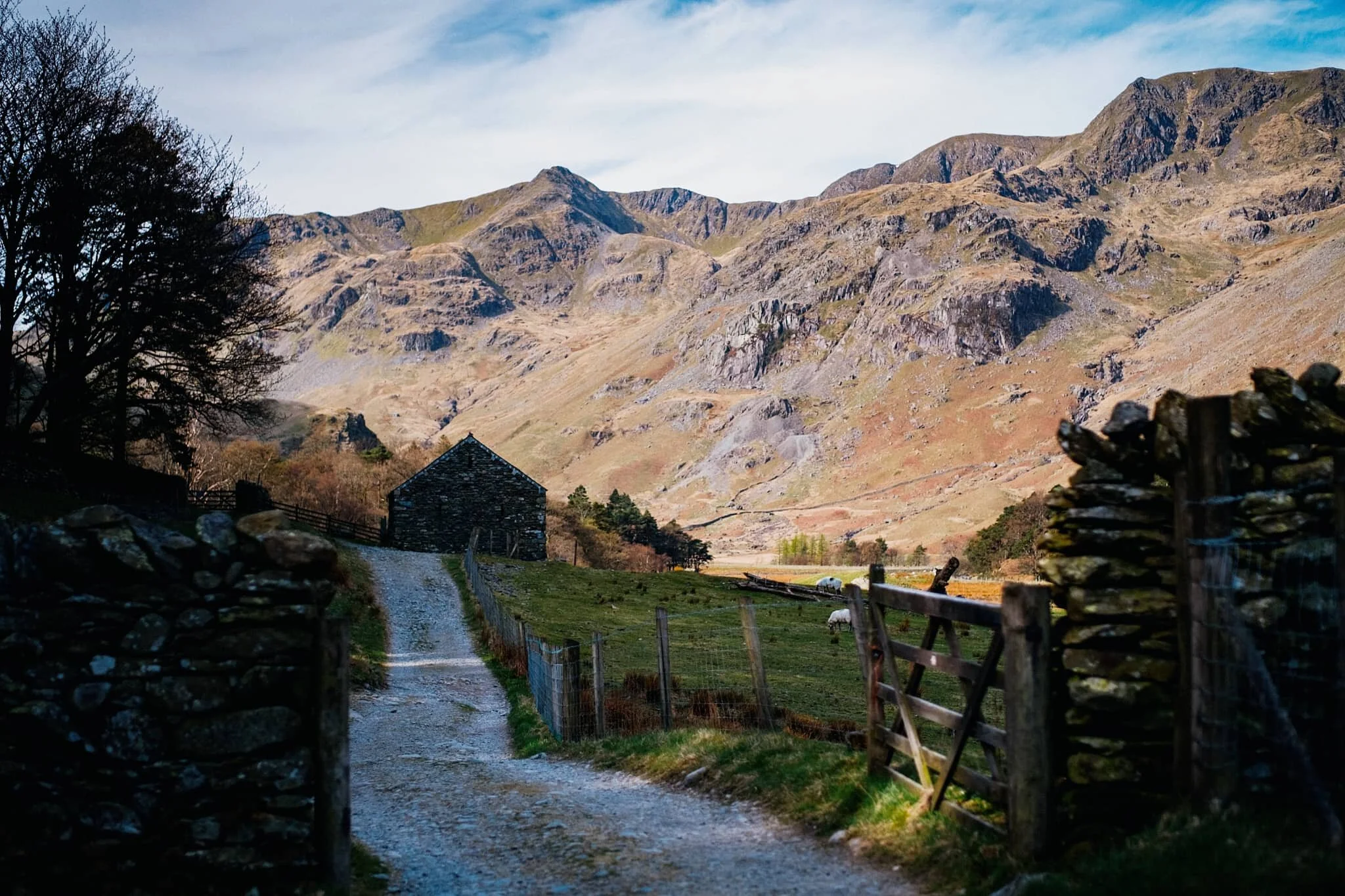 Heading through Elmhow Plantation, when an old stone barn catches our eye for a composition. Especially lovely as we were sitting in the shadow and the morning sun was starting to catch the Helvellyn fells.