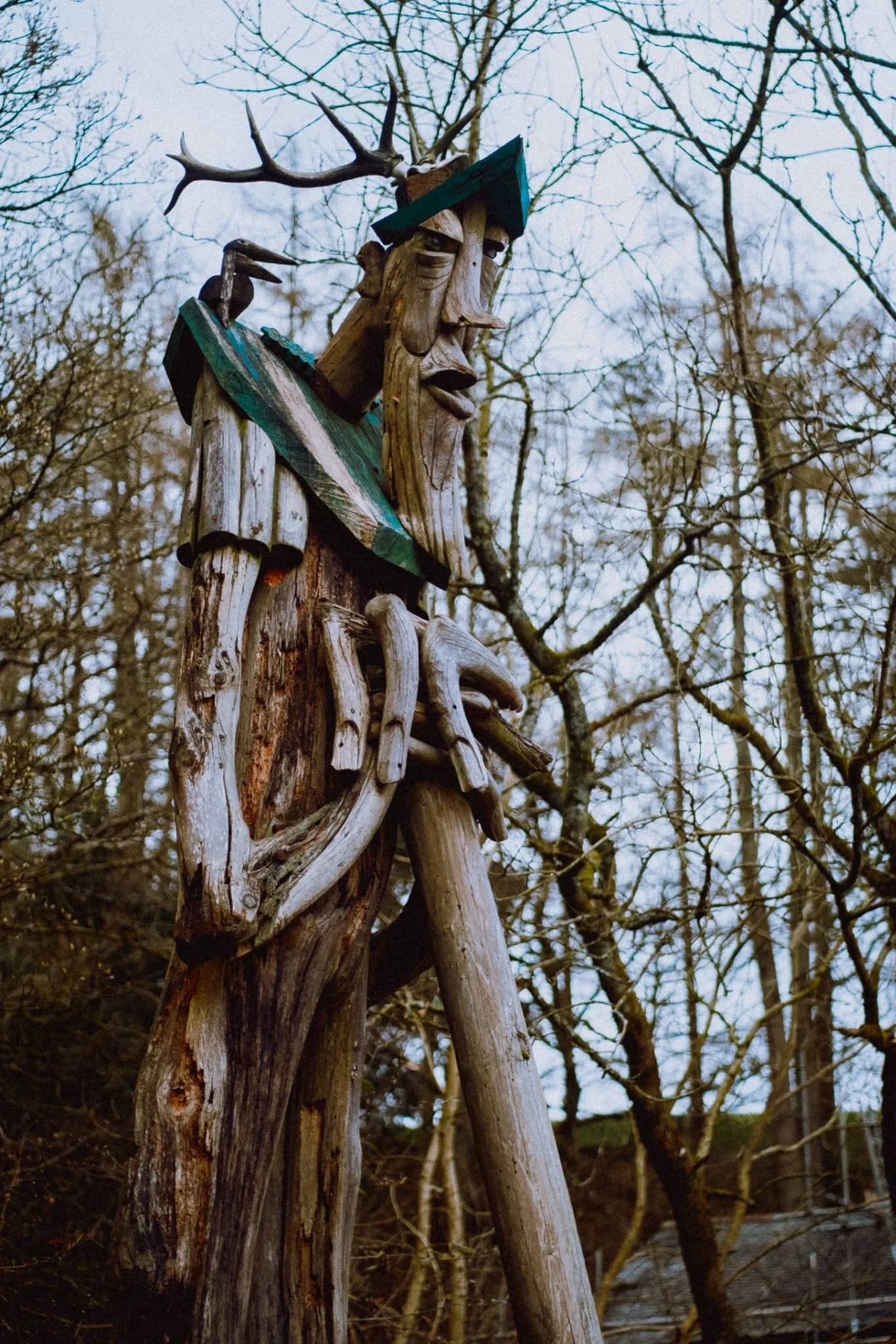 A gentle Ent, standing guard at the entrance of the Milwood Trail.