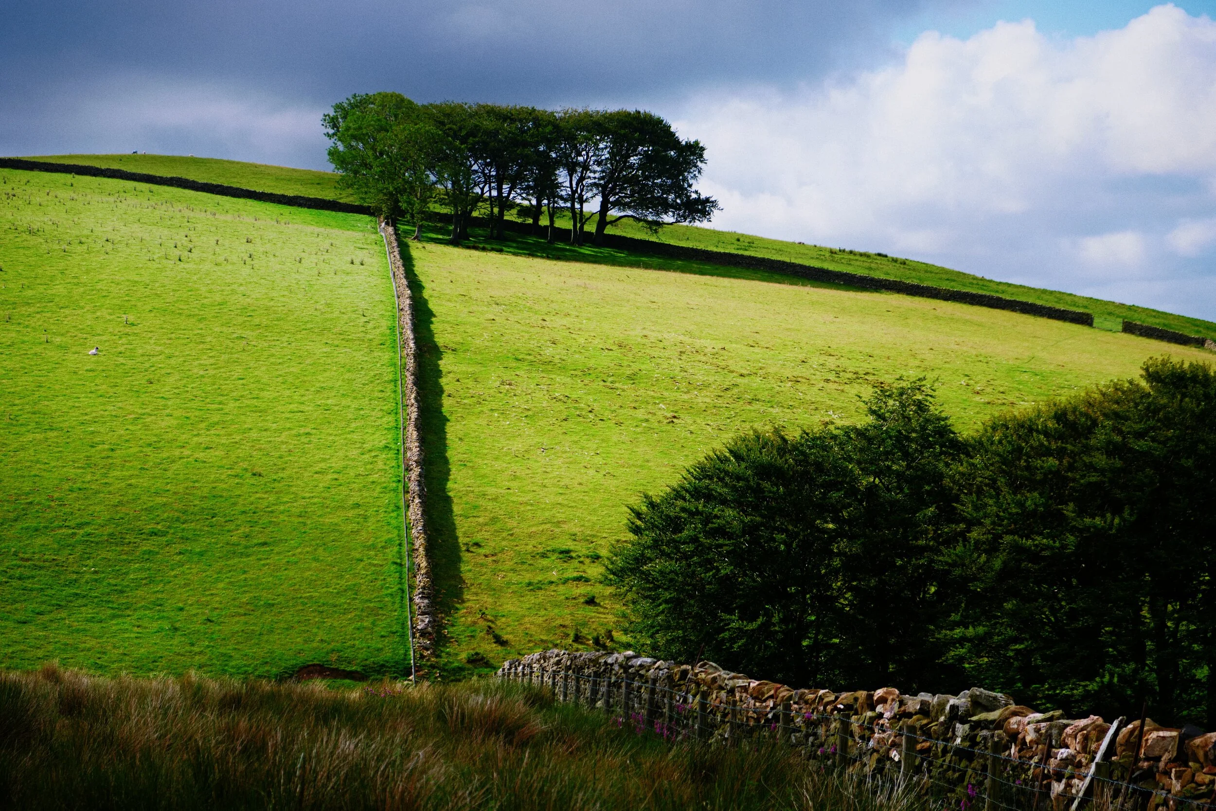 That’s right, a drystone wall. You know what I’m when it comes to drystone walls, especially if they give pleasing compositions like this.