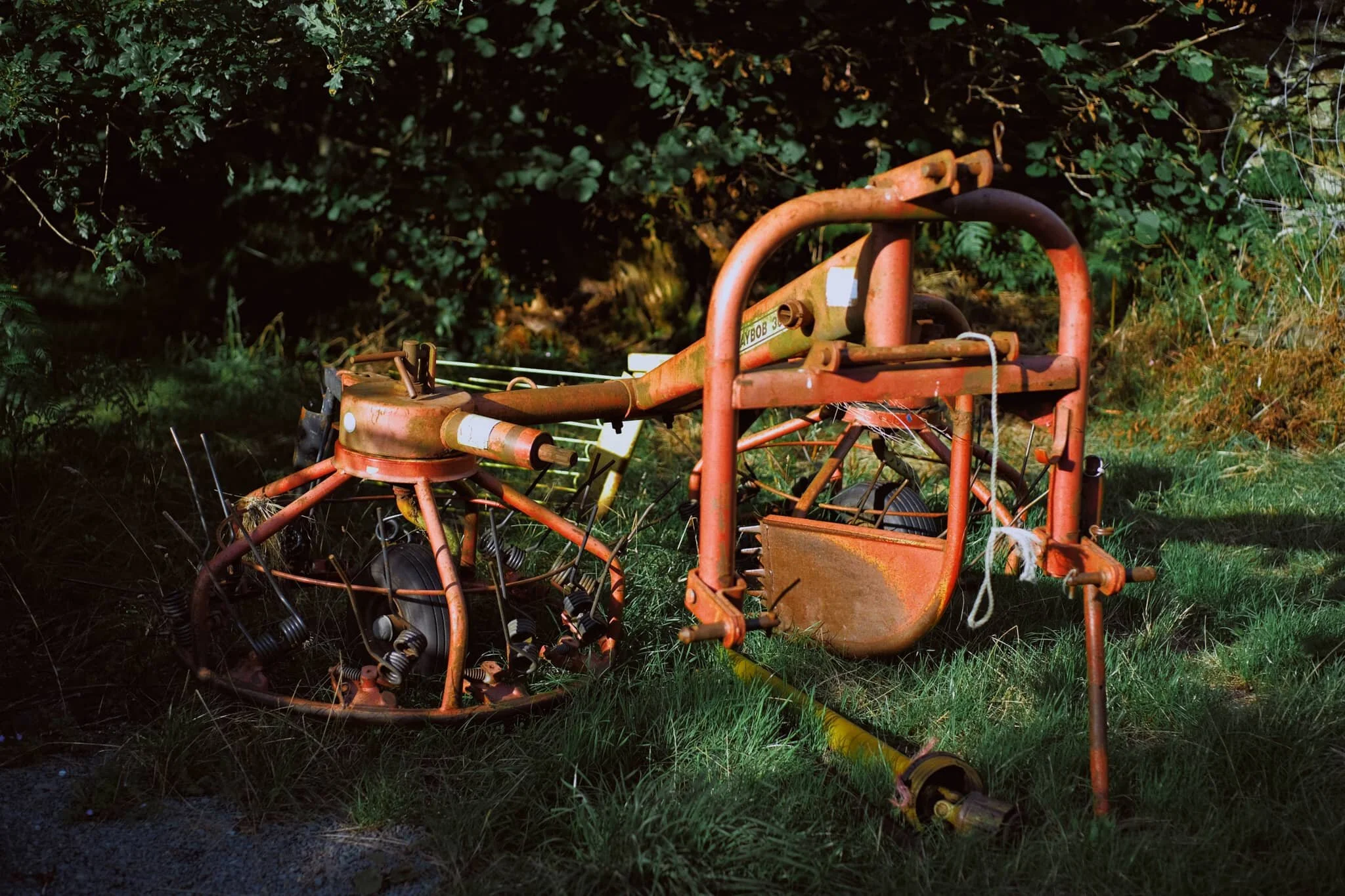 I couldn’t tell you what this piece of farming tech is called, but it certainly looked long abandoned.