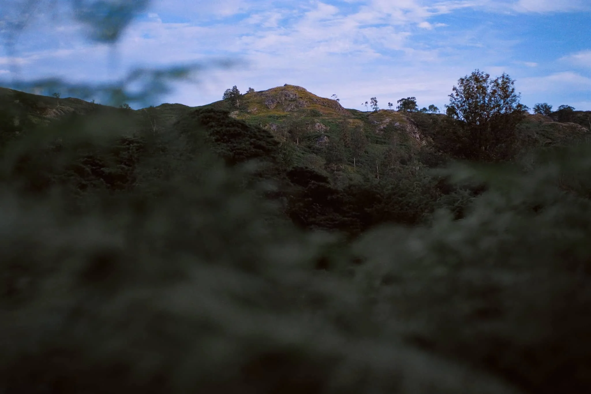 Peeping through the head-height ferns for this composition of Black Crag.