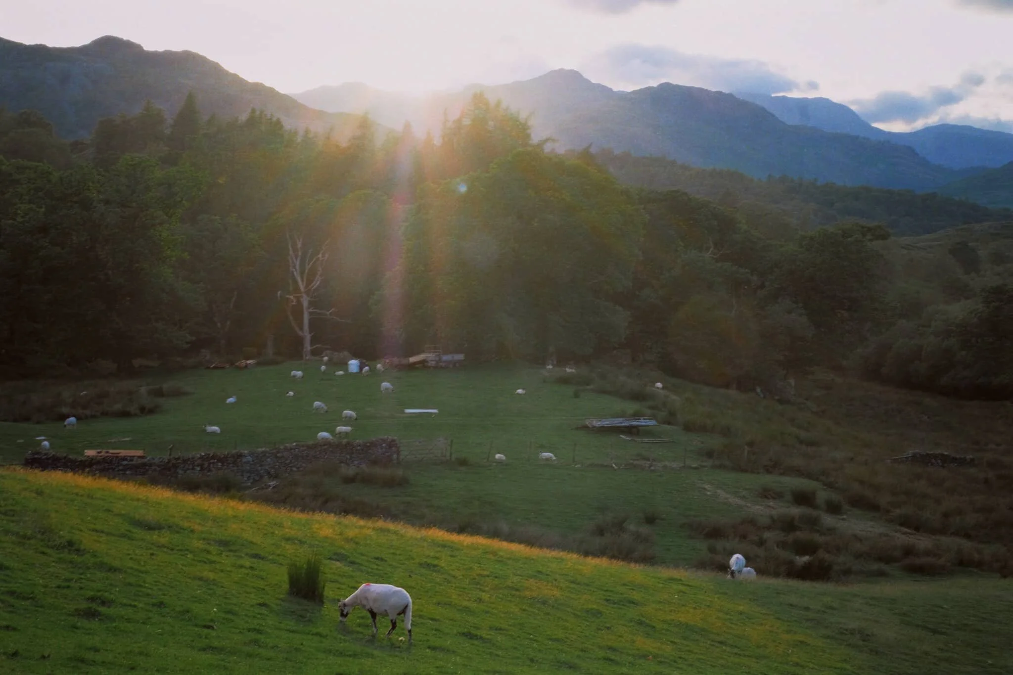 What a scene! What light!