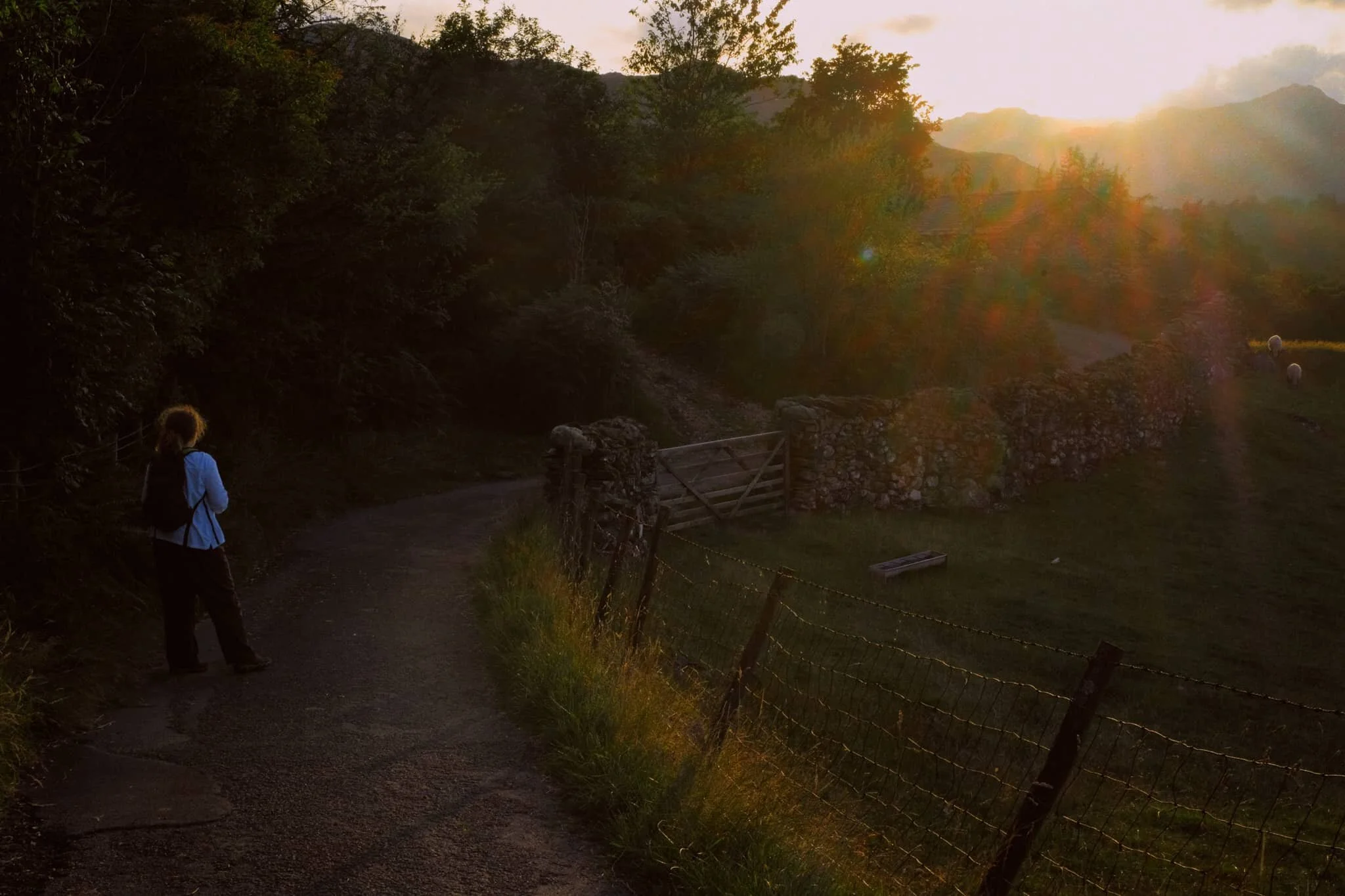 Basking in the golden glow.