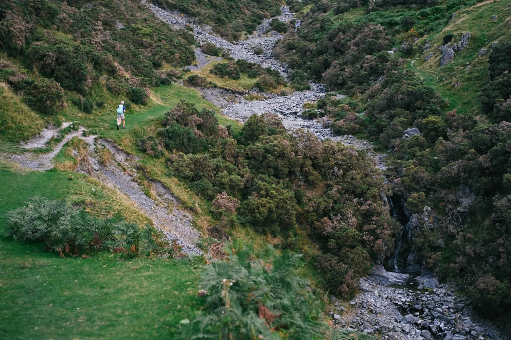 A fell runner and her anxious dog passed us on their way across Settlebeck Gill and up Crook.