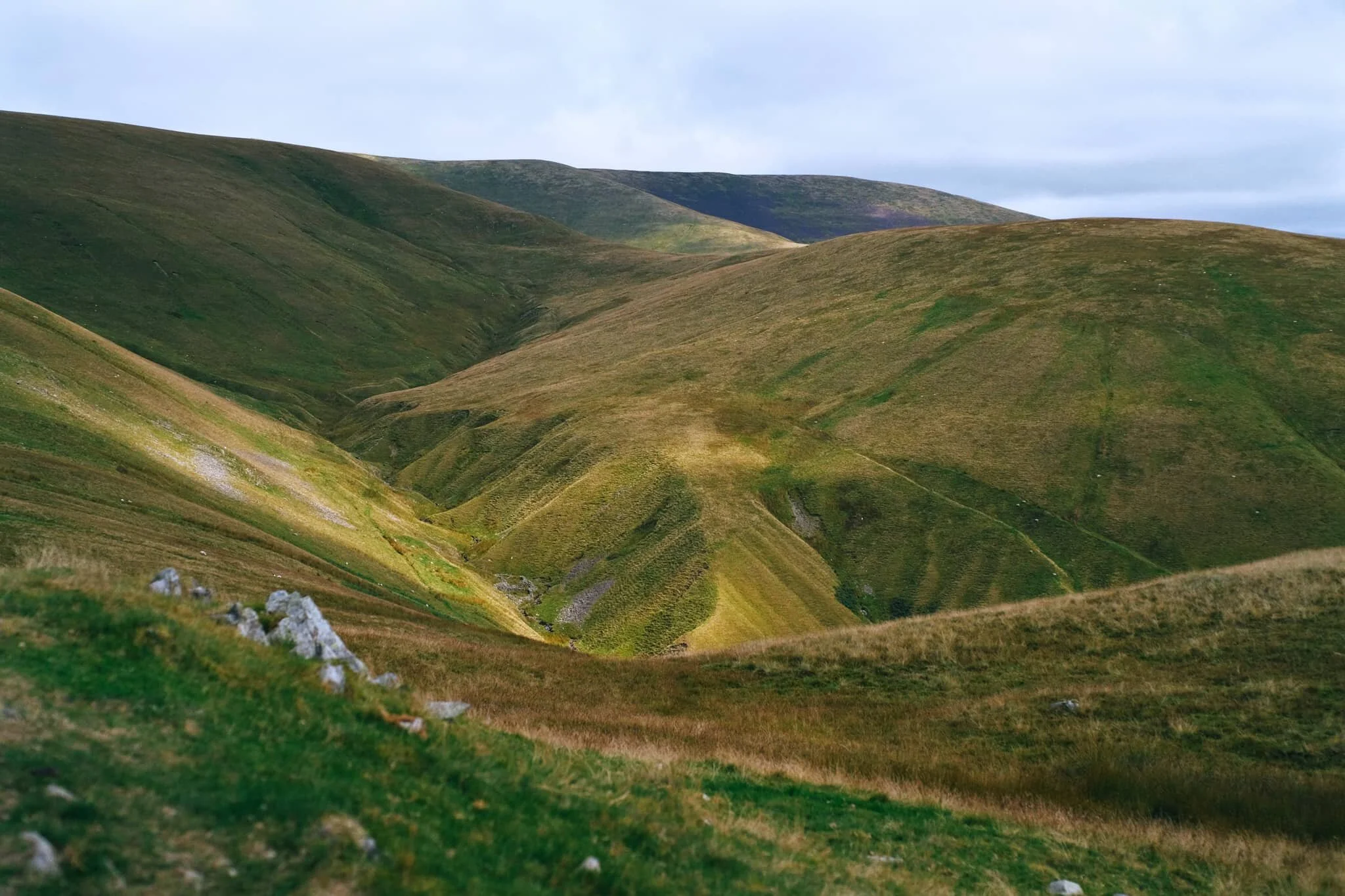 Even though Crook is only 450 m high or so, the views from its summit are no less impressive.