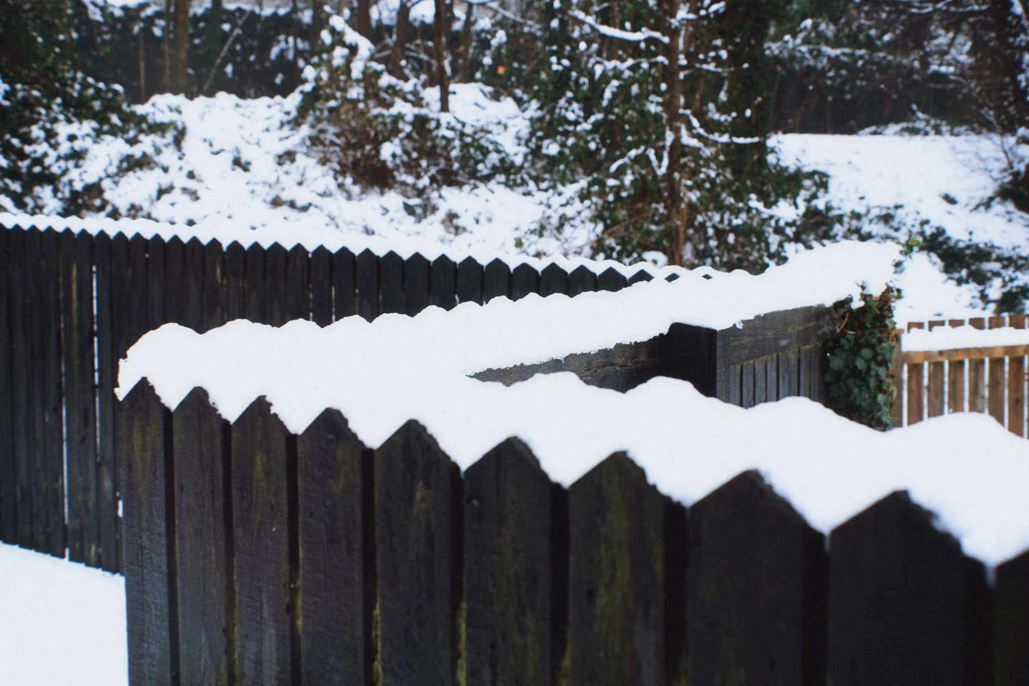 Pleasing shapes and lines created by fresh snow on a winding garden fence.