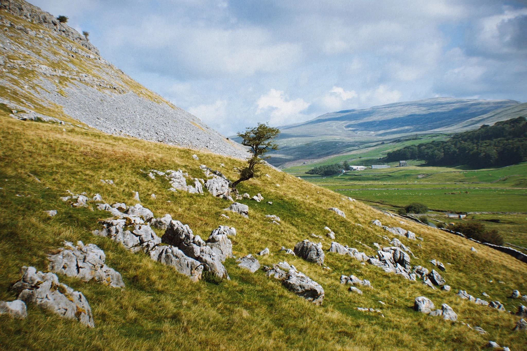 Kingsdale_Small 02