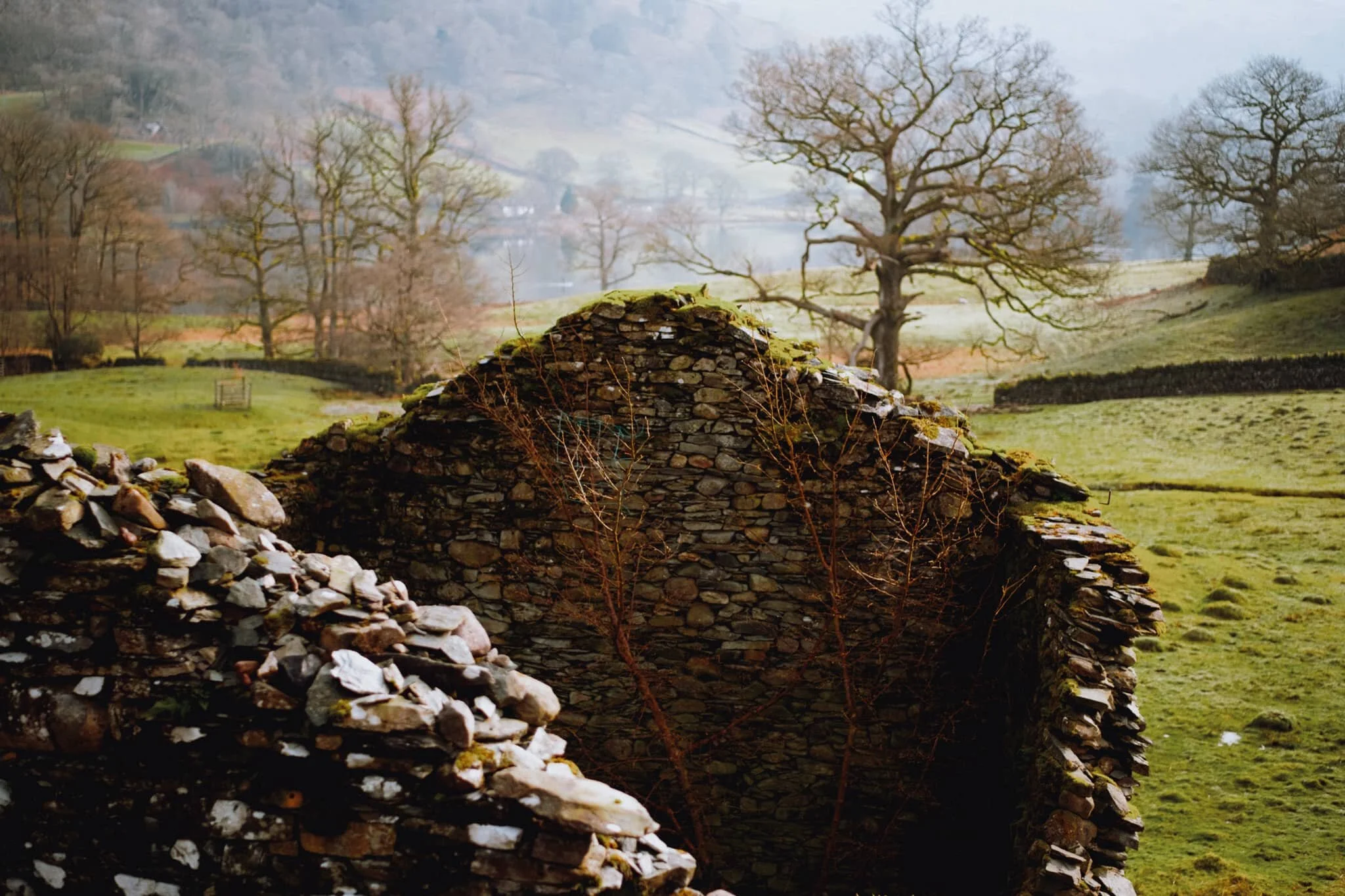 An old barn, long fallen into disrepair and nature quickly reclaiming it.