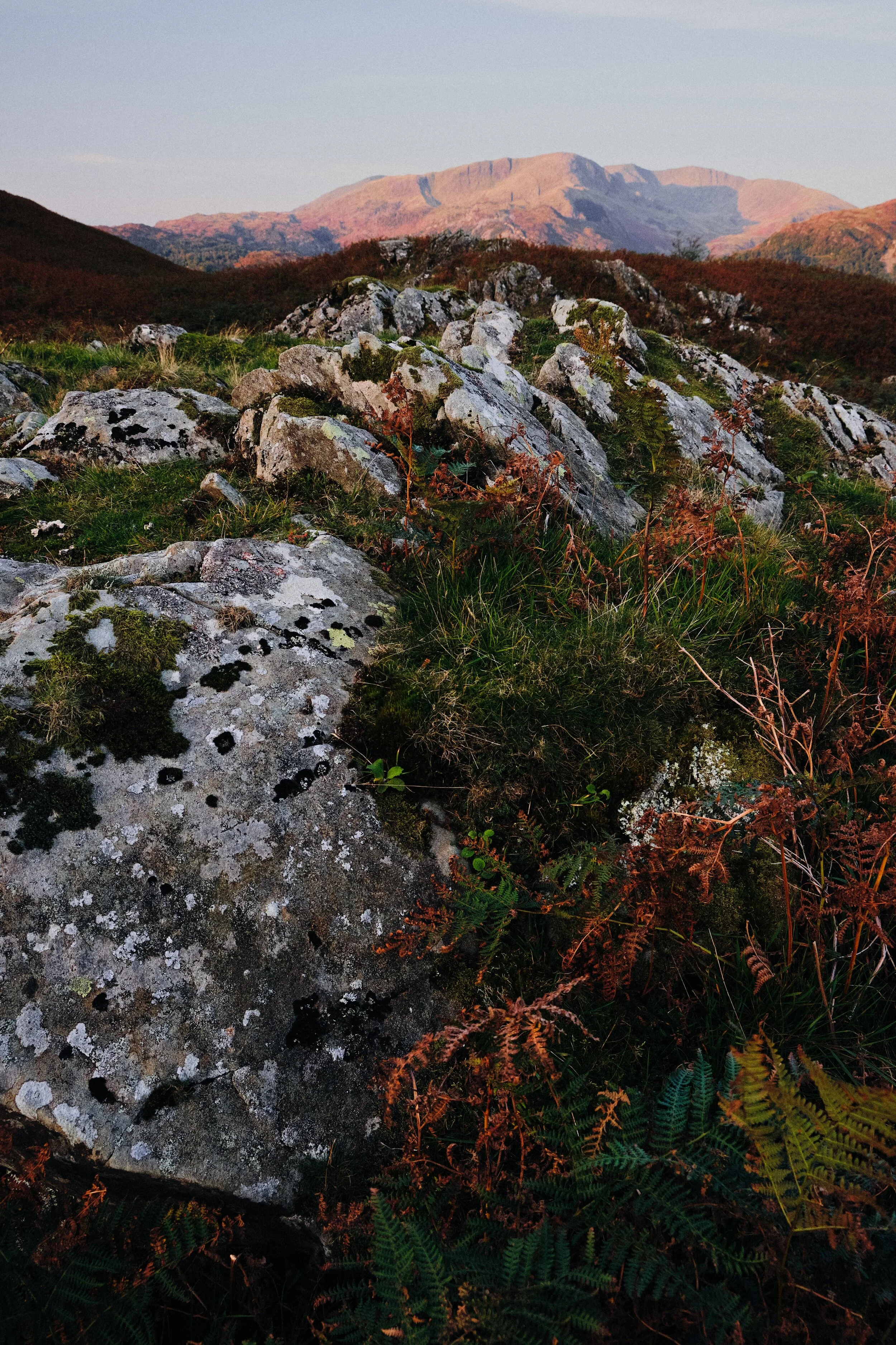 I find another or Loughrigg’s crags, surrounded by autumnal fern, which I use to point towards Wetherlam as it glows pink.