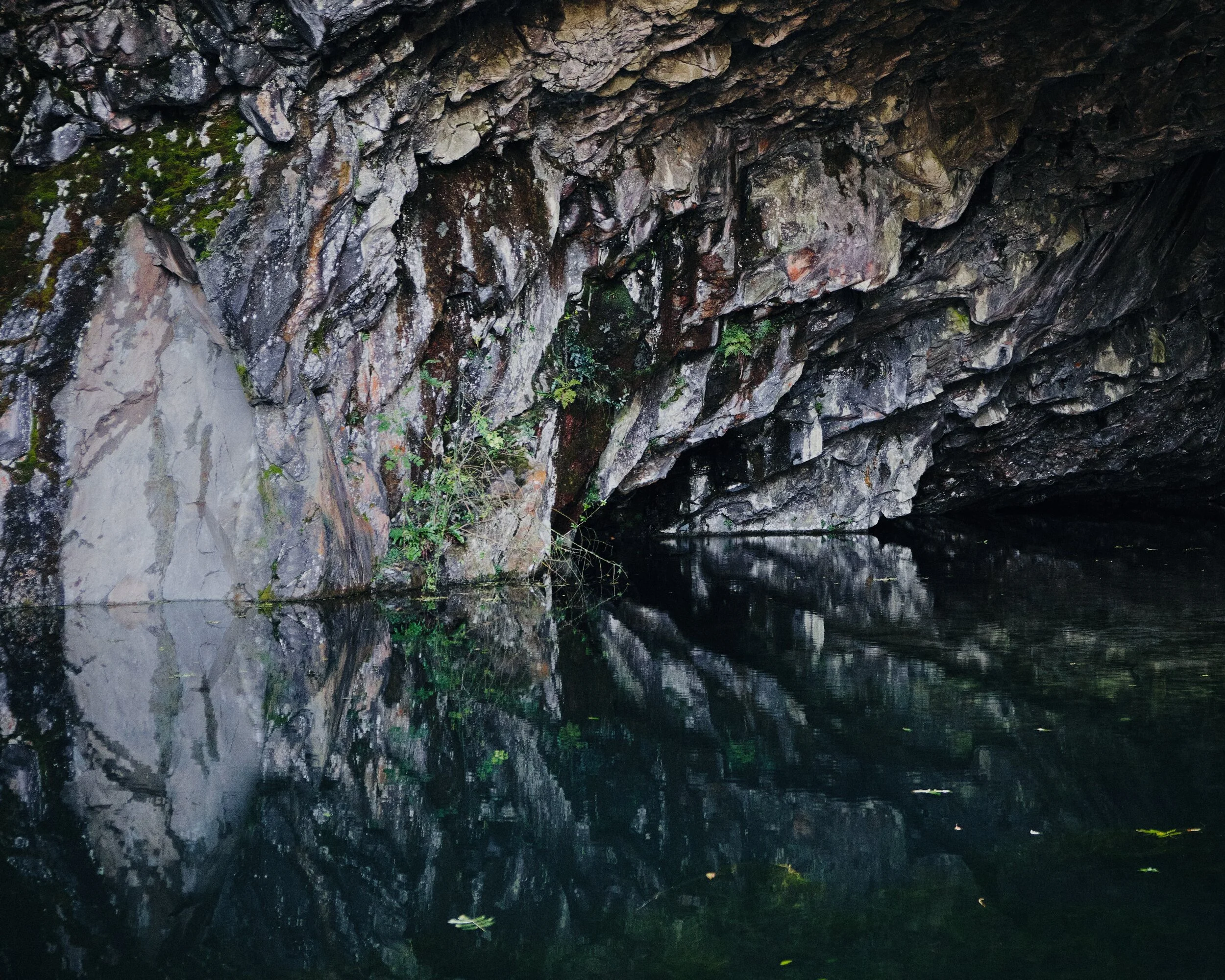 We spotted teeny little fishes in the pool too! Couldn’t say what they were, though.