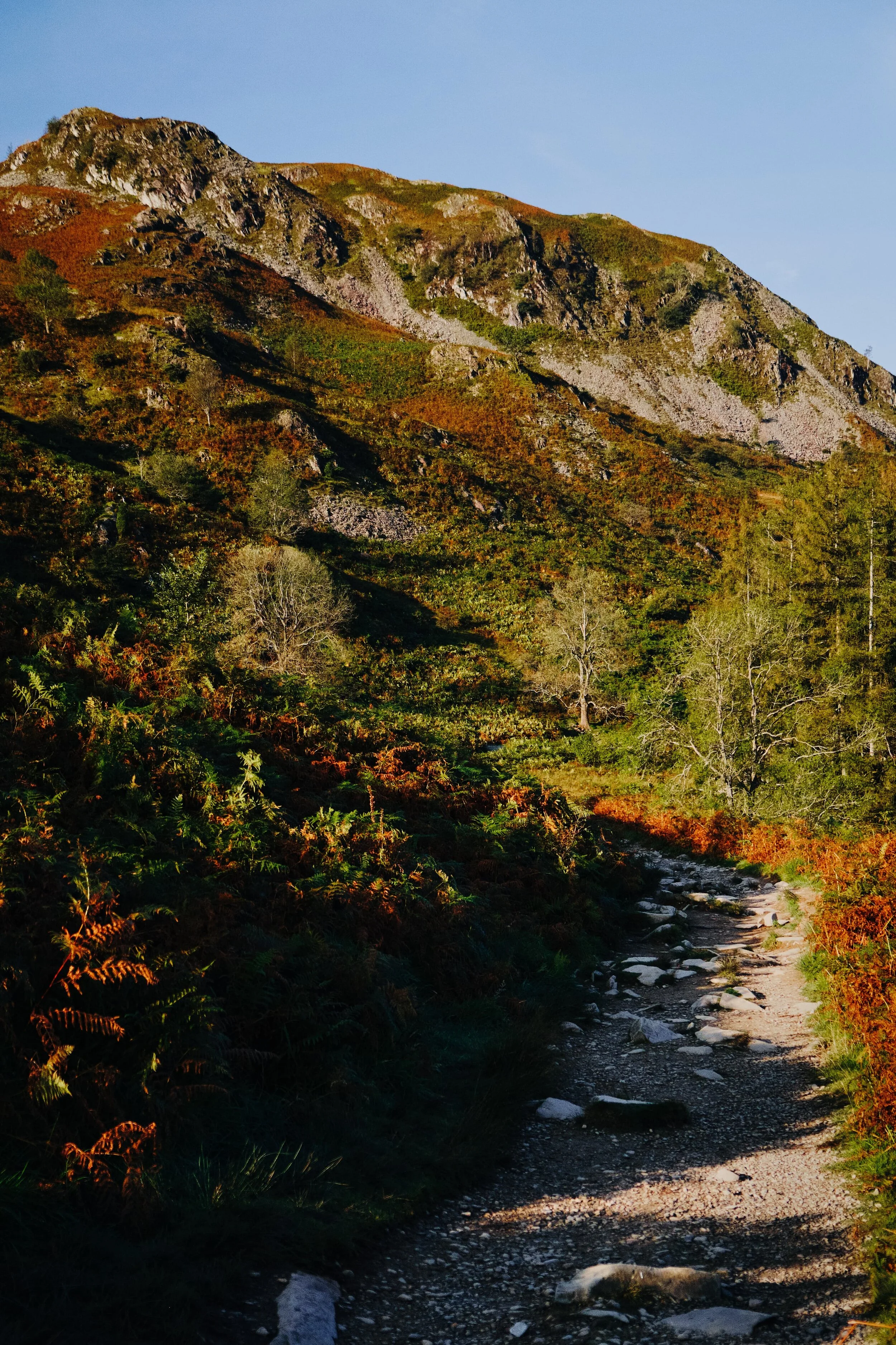 Back on the main path around Loughrigg and looking up at Ewe Crag.