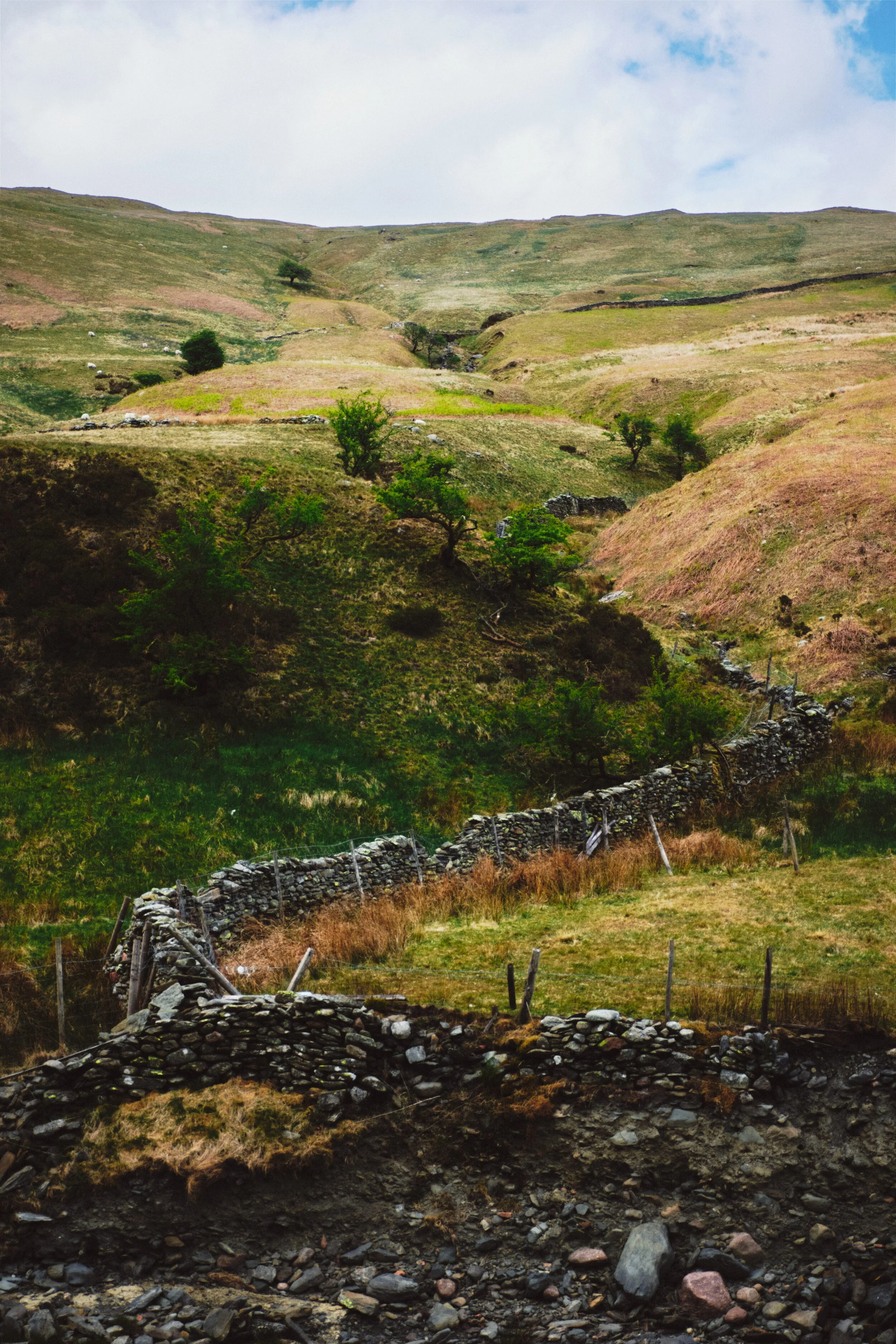 A drystone wall snaking its way up the fell.