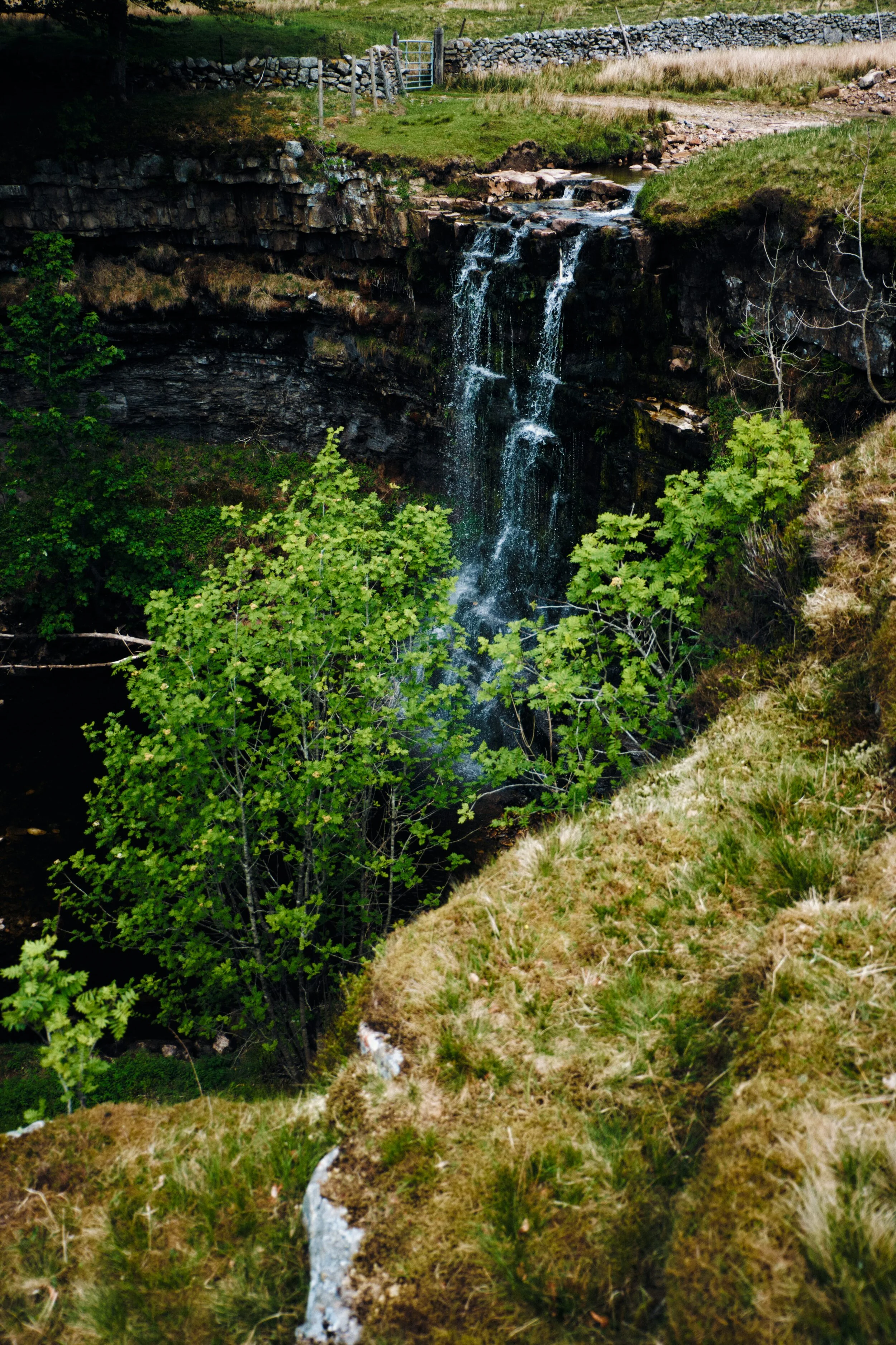 Hellgill Force, normally a thundering roar, reduced to a couple of rivulets dribbling down to the gorge.
