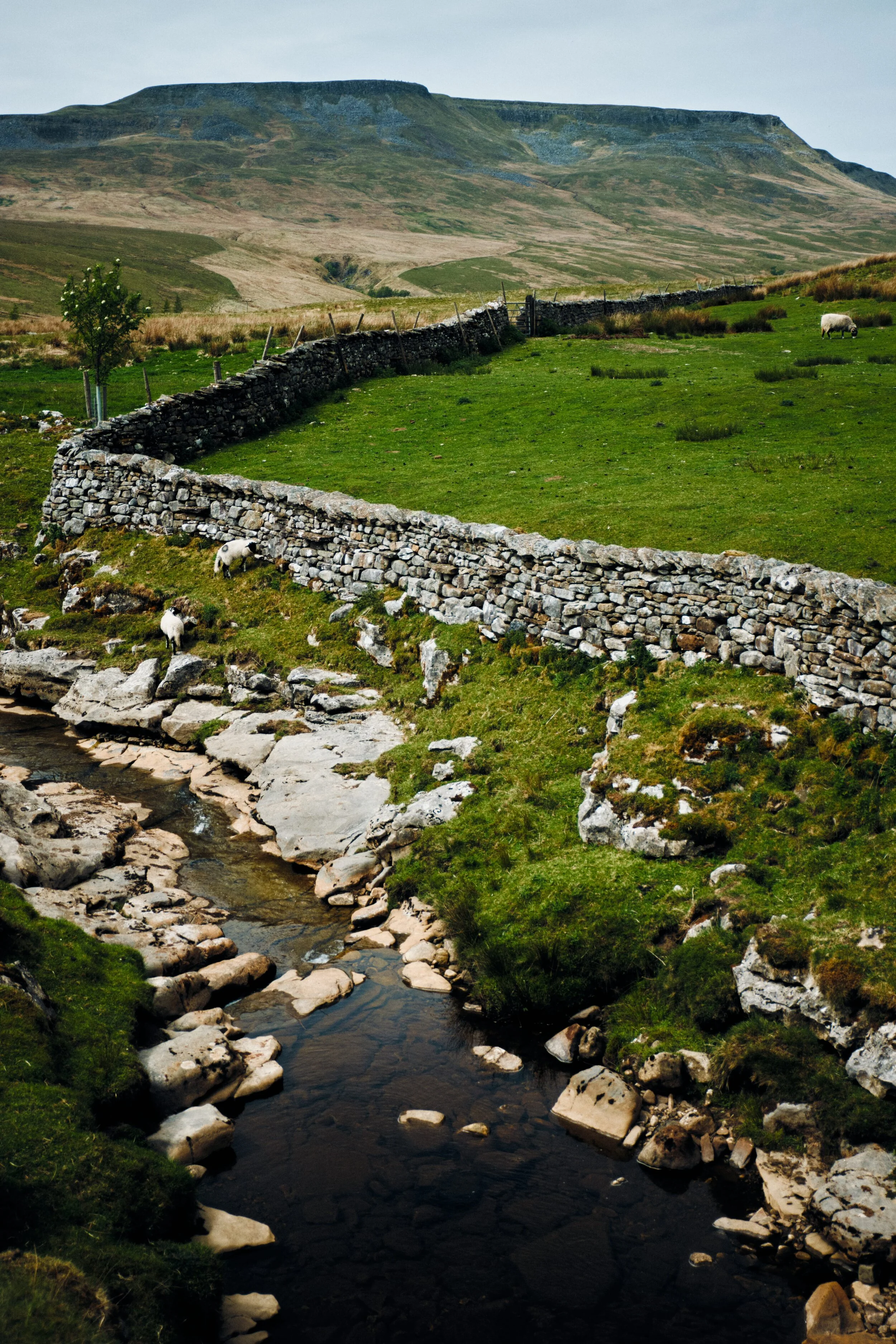Further up Hell Gill Beck the views really open up looking towards Wild Boar Fell.