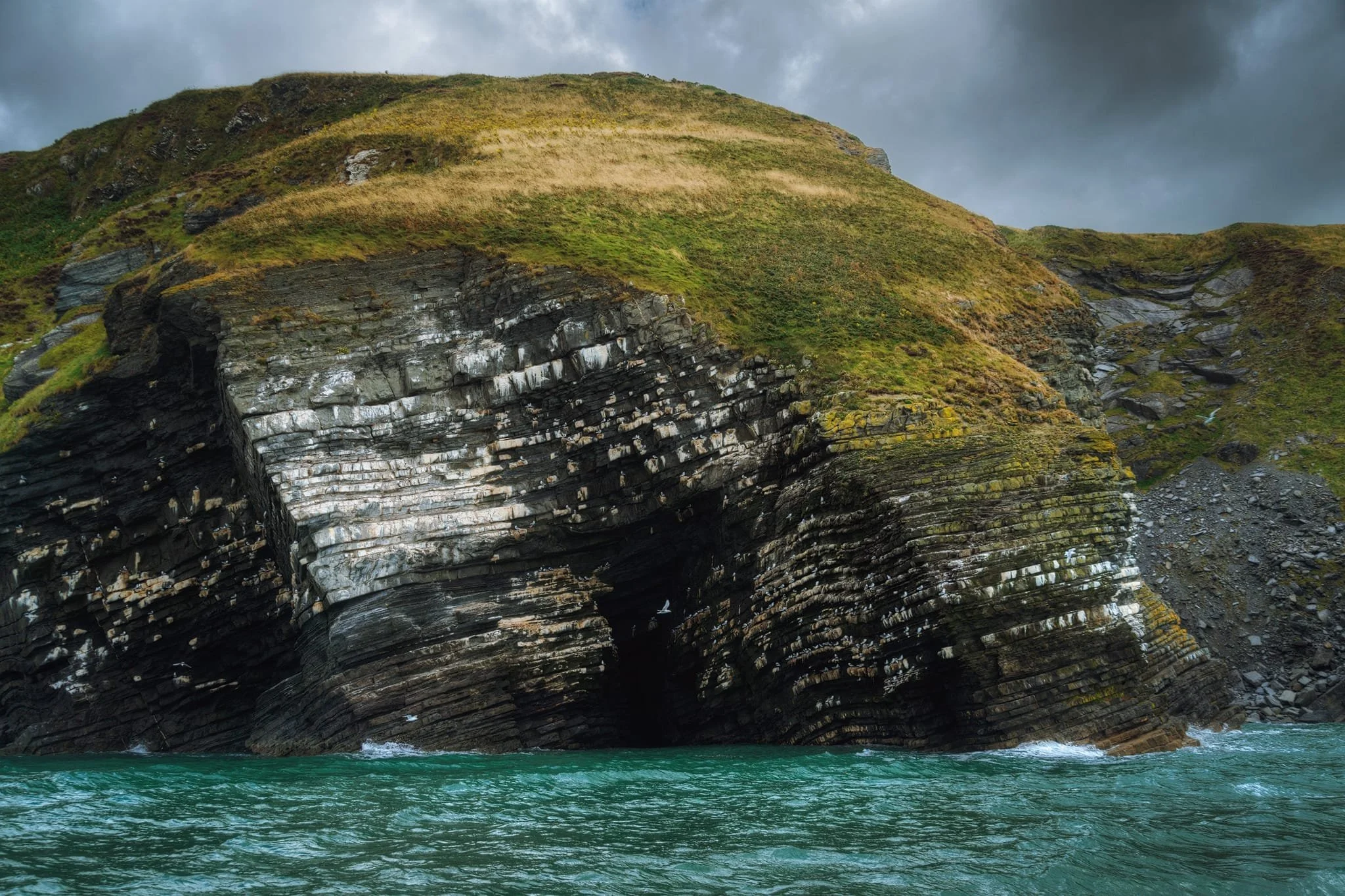 Pulling the zoom back shows the crazy geology of New Quay and Birds Rock in full view. Getting these shots on a bumpy boat ride was a new challenge to me! I knew I needed fast shutter speeds, so set the camera to Auto ISO—maxing out at 12800—and let the lens aperture stay open as much as possible. Camera body and lens stabilisation definitely helped too.